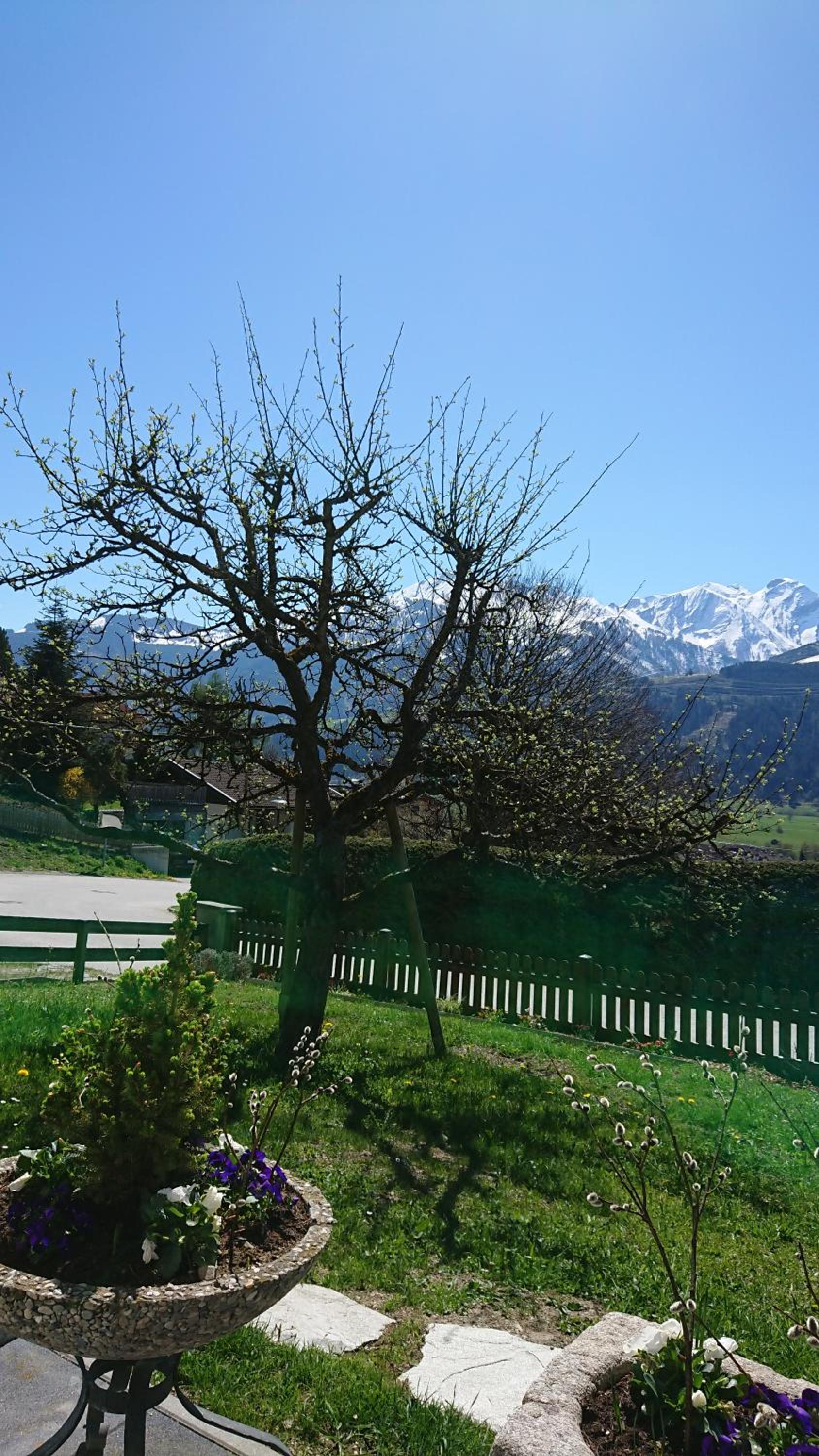 Photo 43