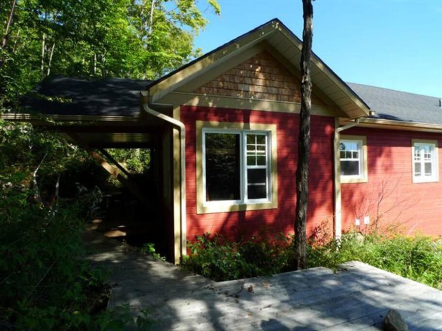Gorgeous Peaceful Cottage on the Forest view 4