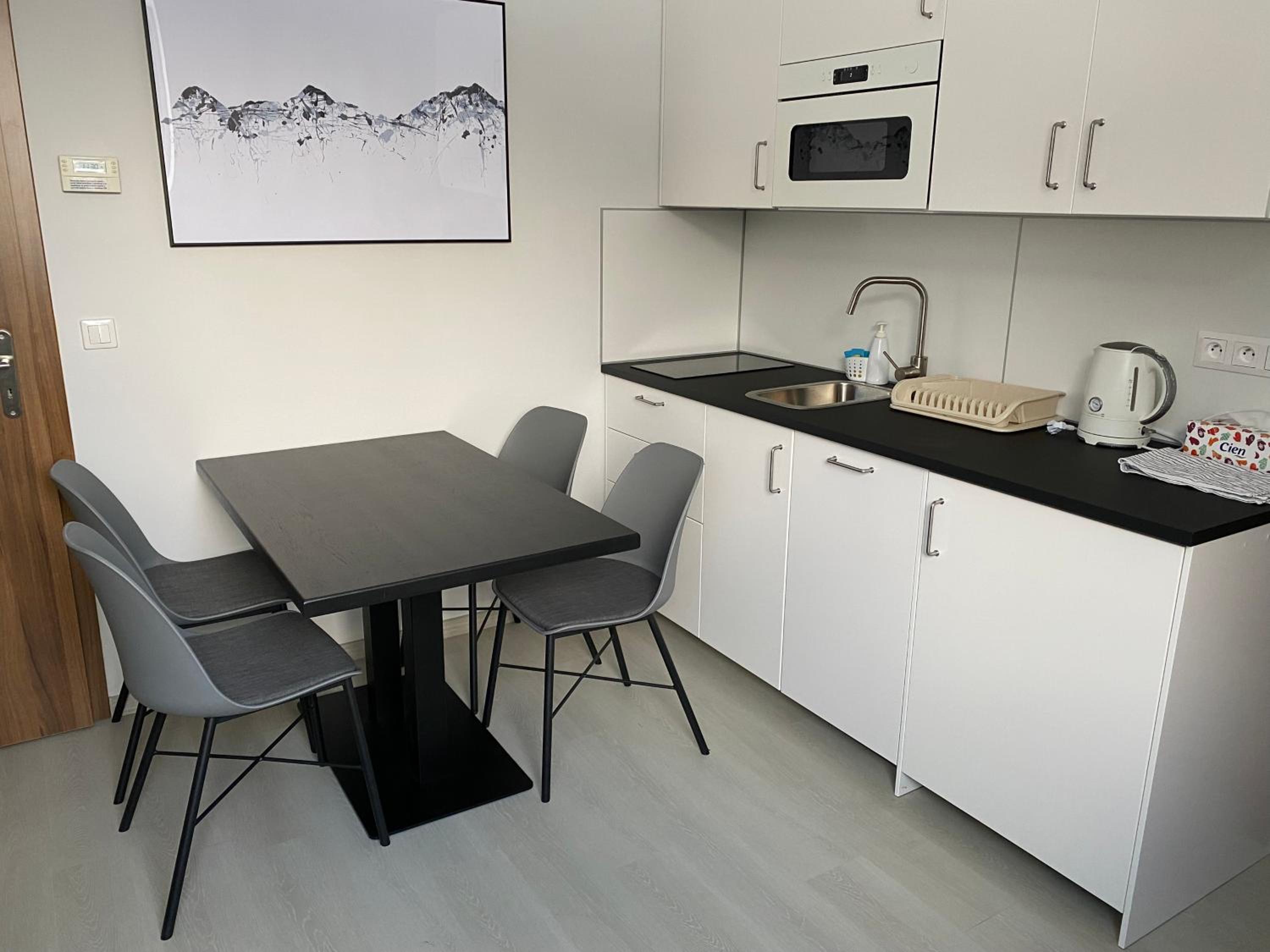 Apartmán v Koutech view 2