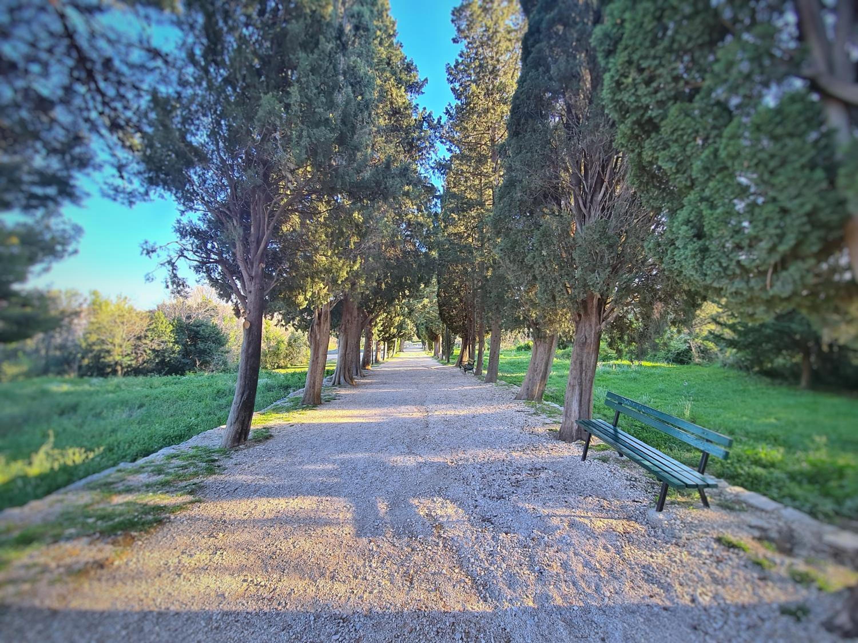 Photo 47
