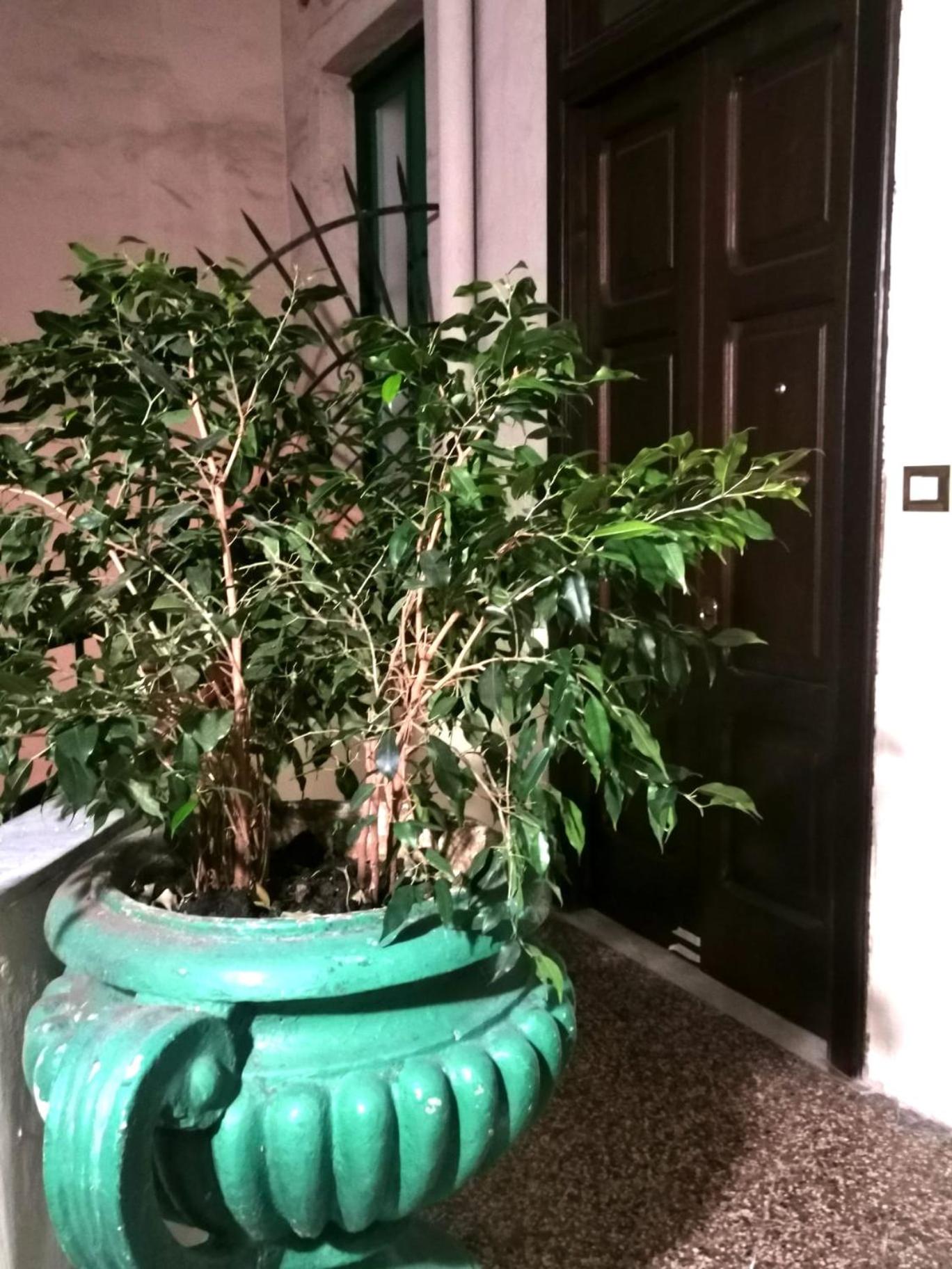 CASA D'AMARE, photo 21
