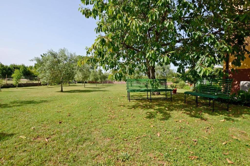 Apartment Karolina - green oasis with free parking