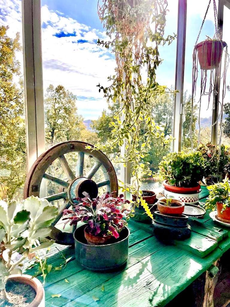 Come una volta farm view 5