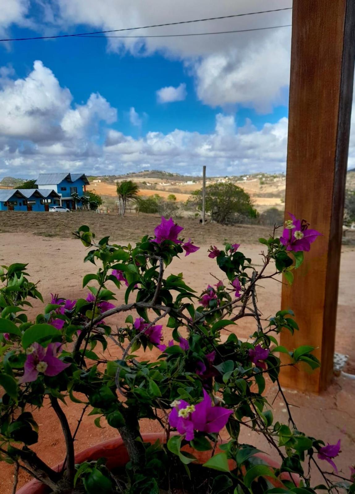 Fazenda Terra Bonita