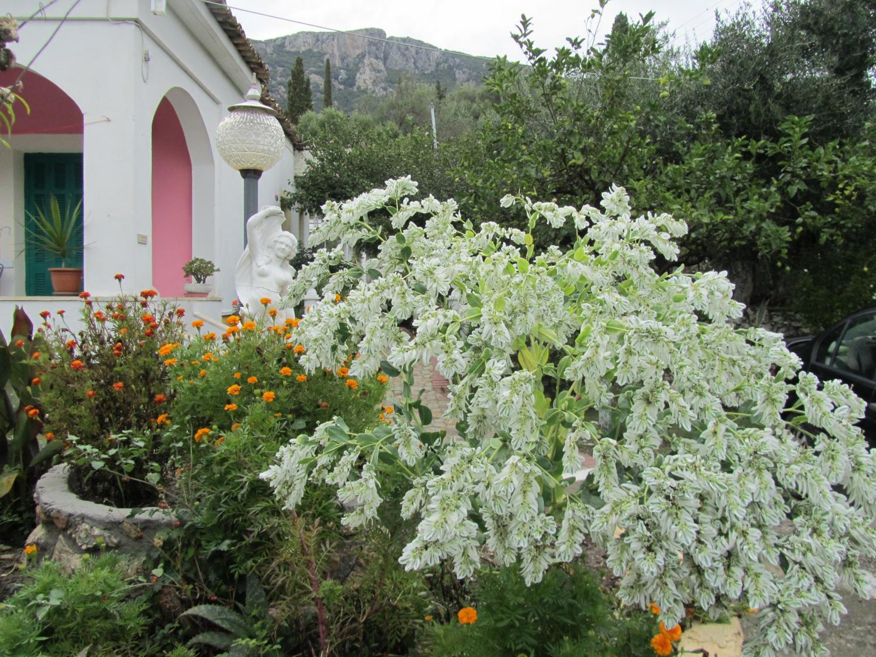 Photo 38
