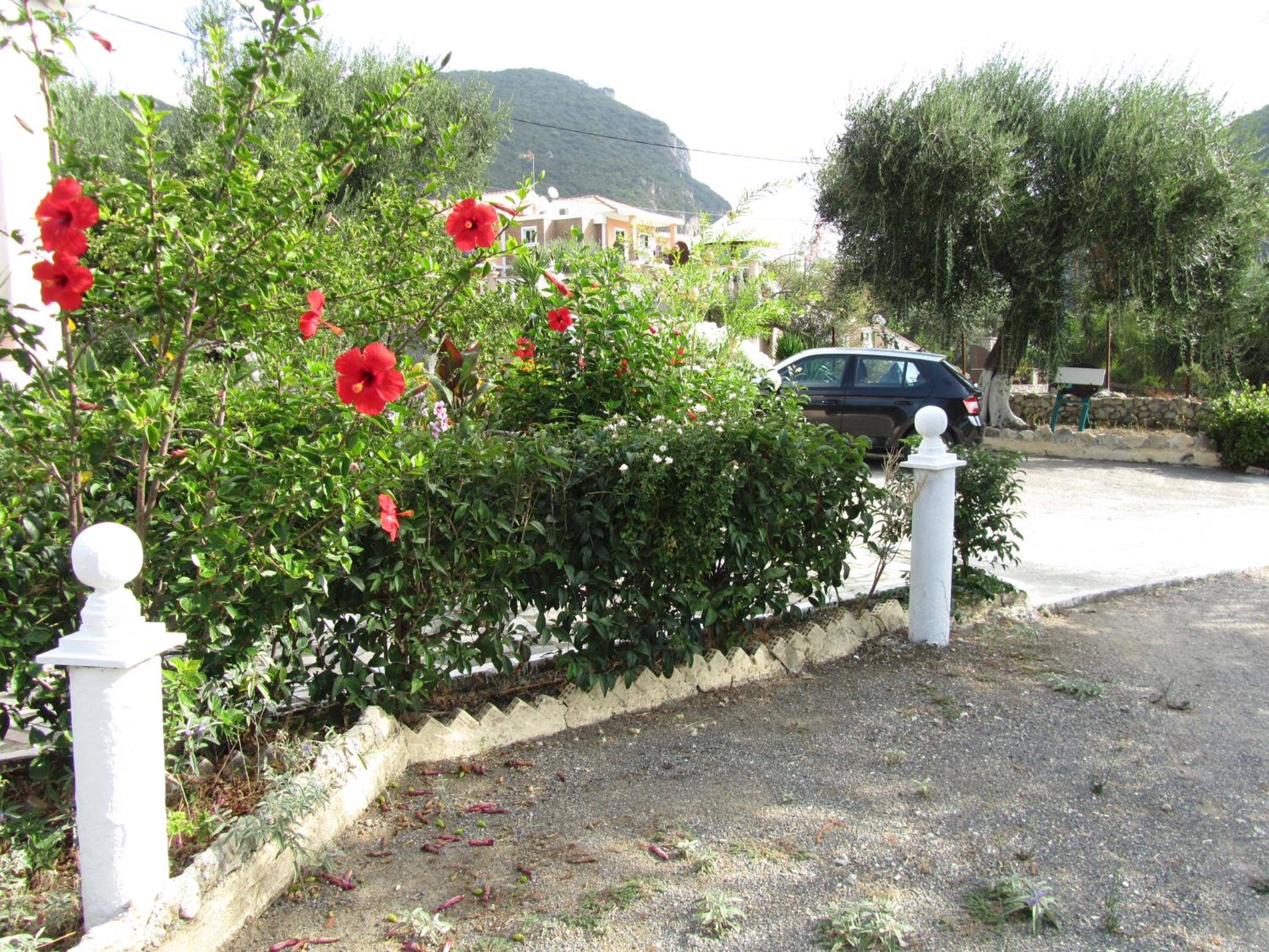 Photo 40