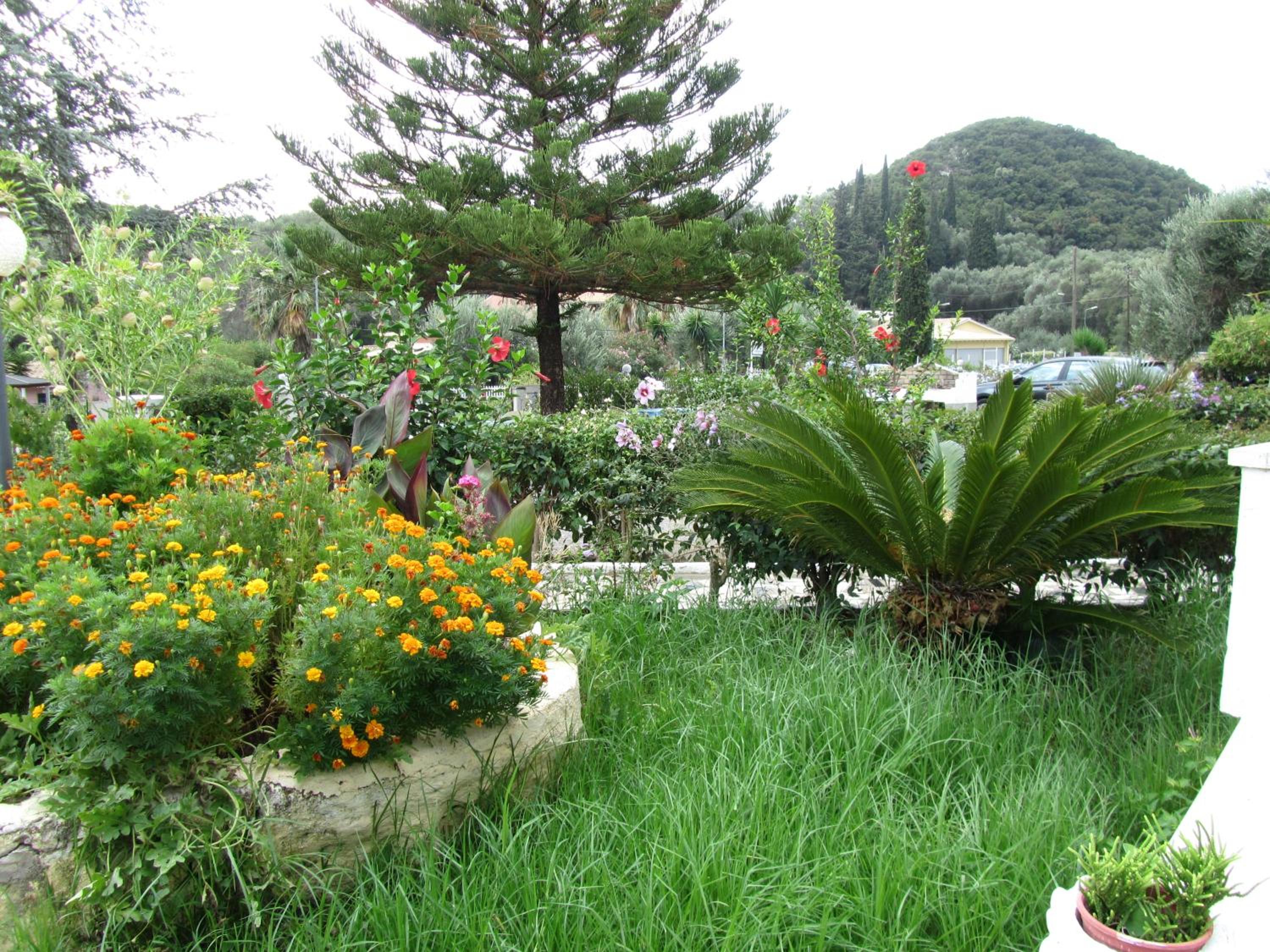Photo 41