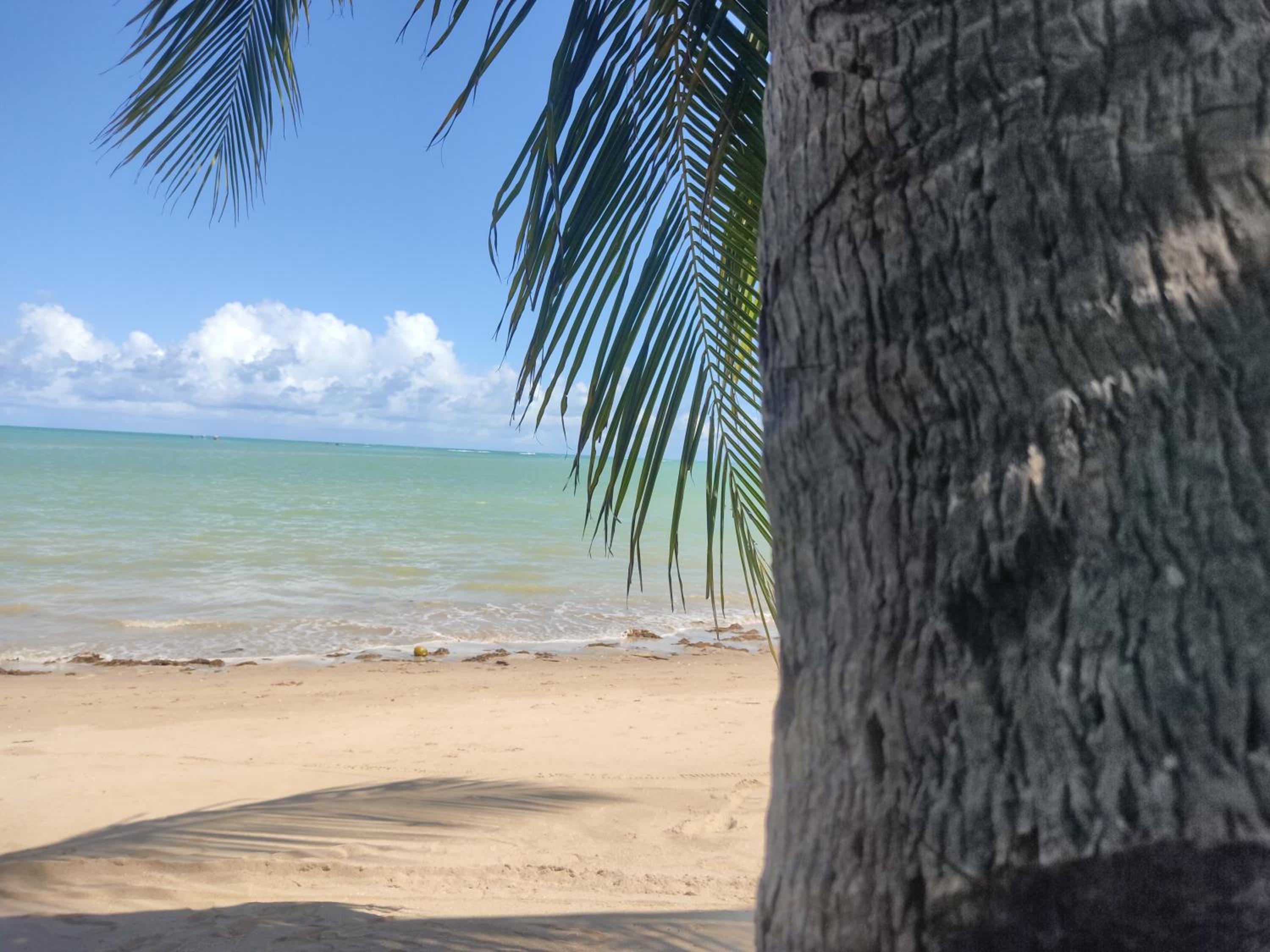 Reserva Rede e Mar - Rota dos Milagres - Patacho