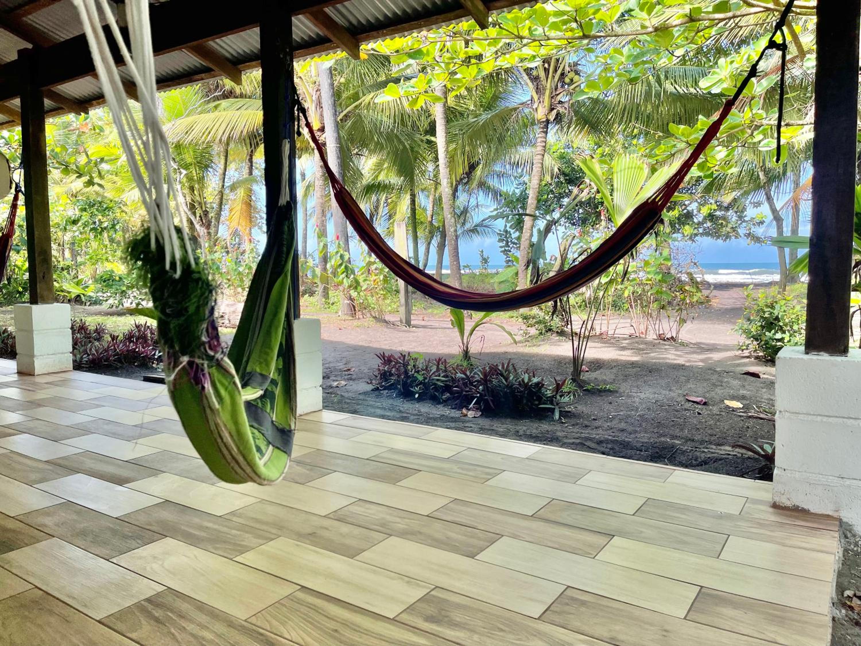 Casa turtle Bogue