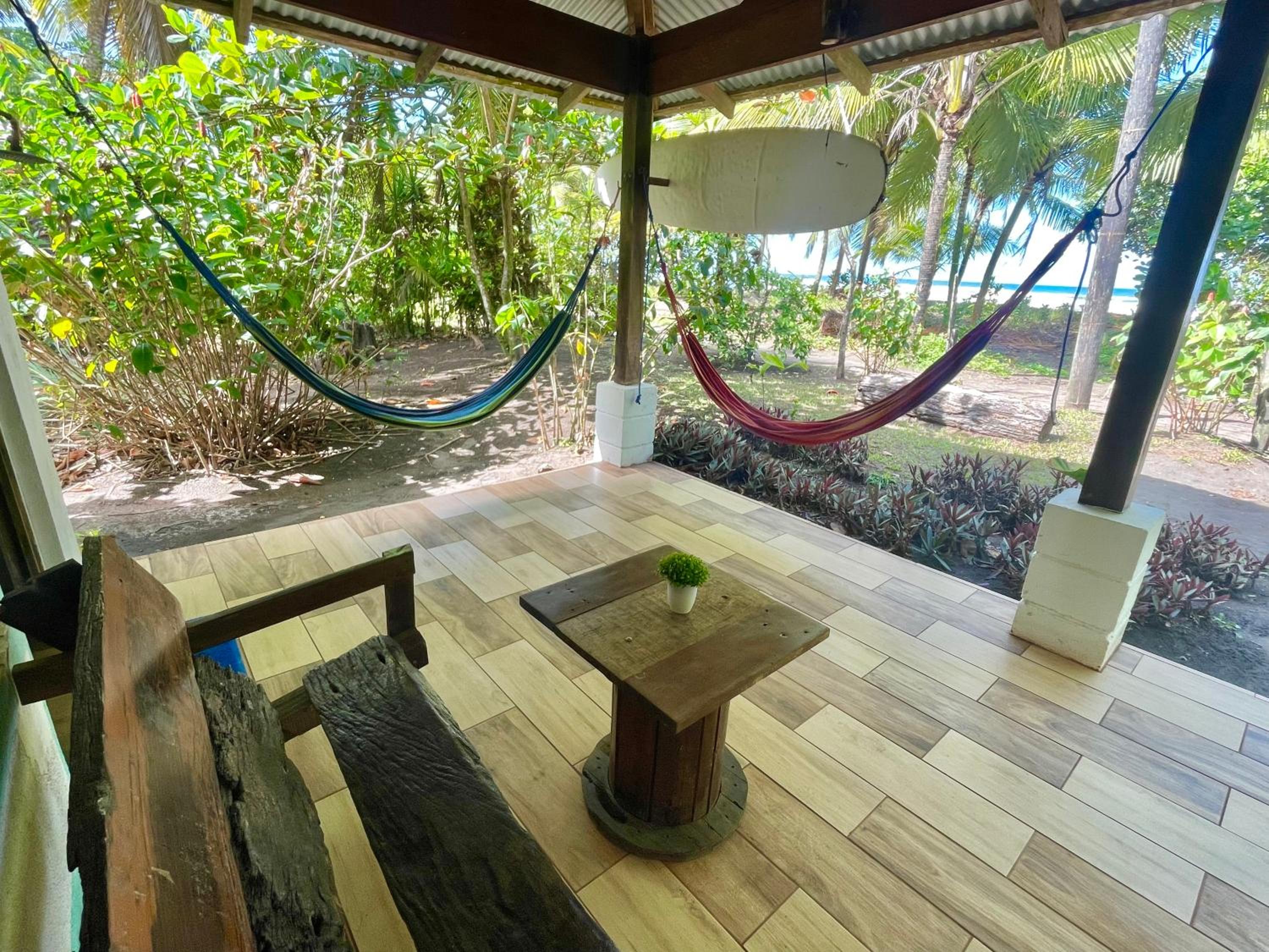 Casa turtle Bogue