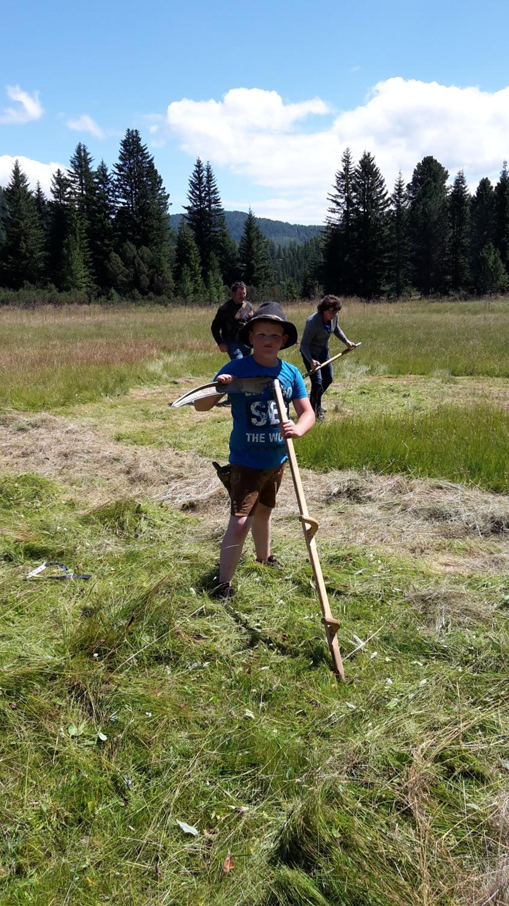 Zirbennest