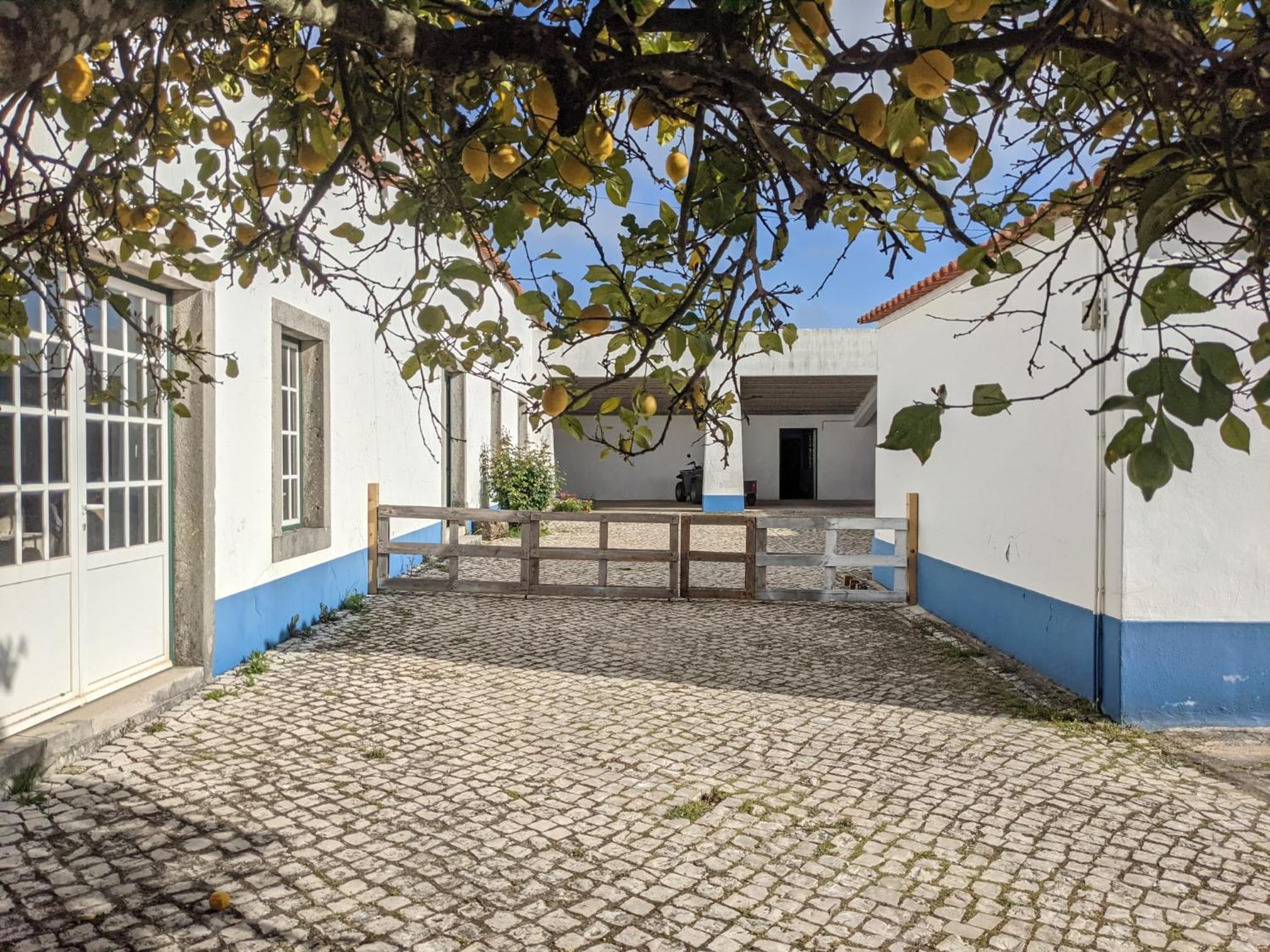 Pátio Sant'Ana - 2 bedrooms villa w/ exterior area view 3