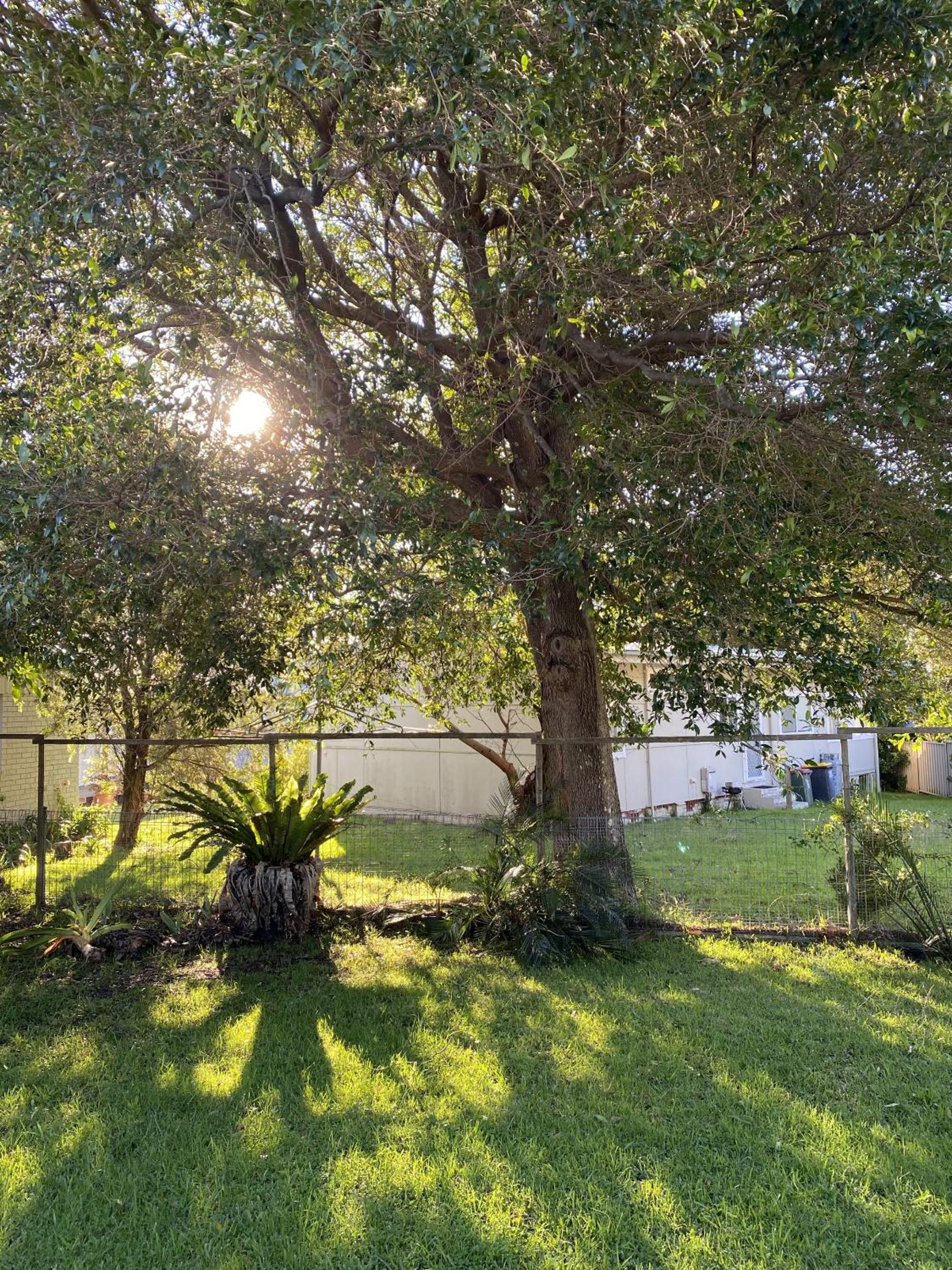 other