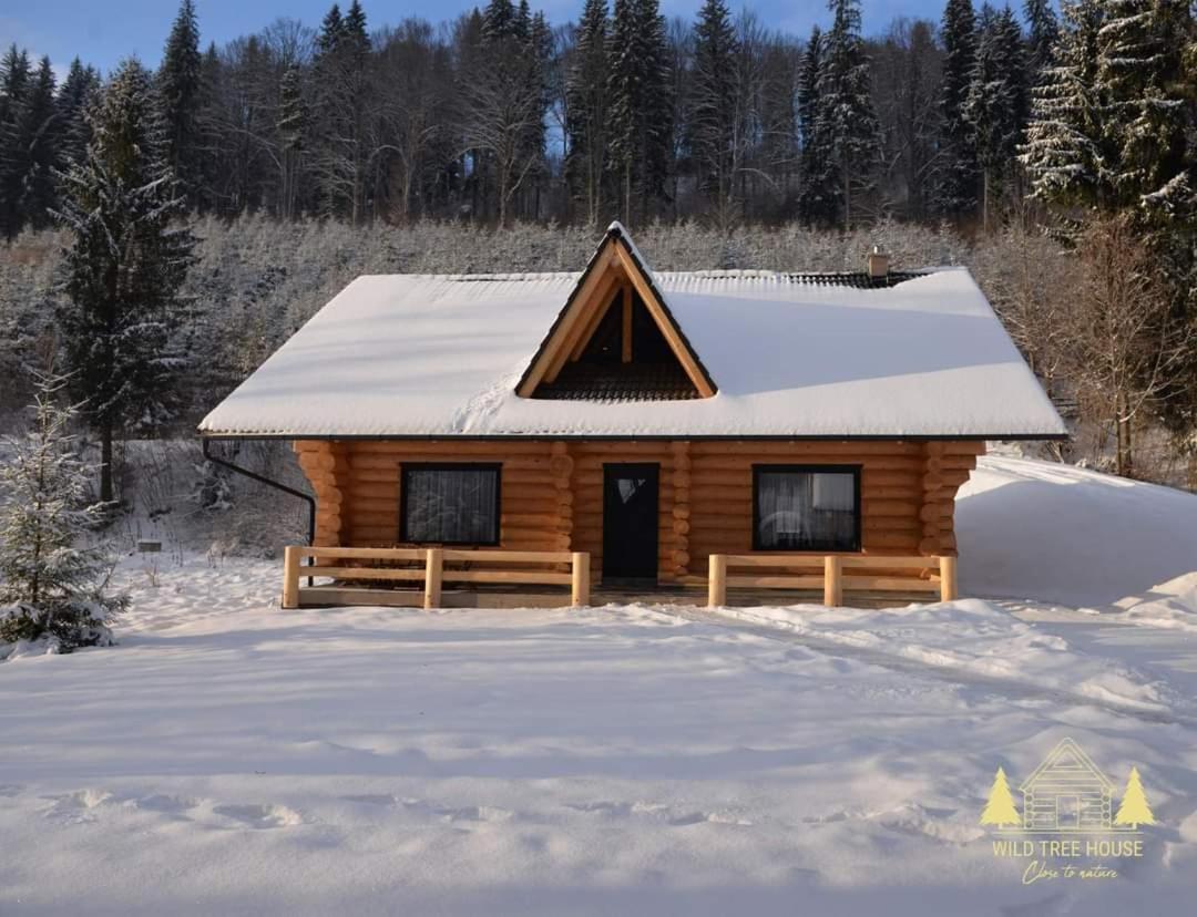 Wild tree house view 3