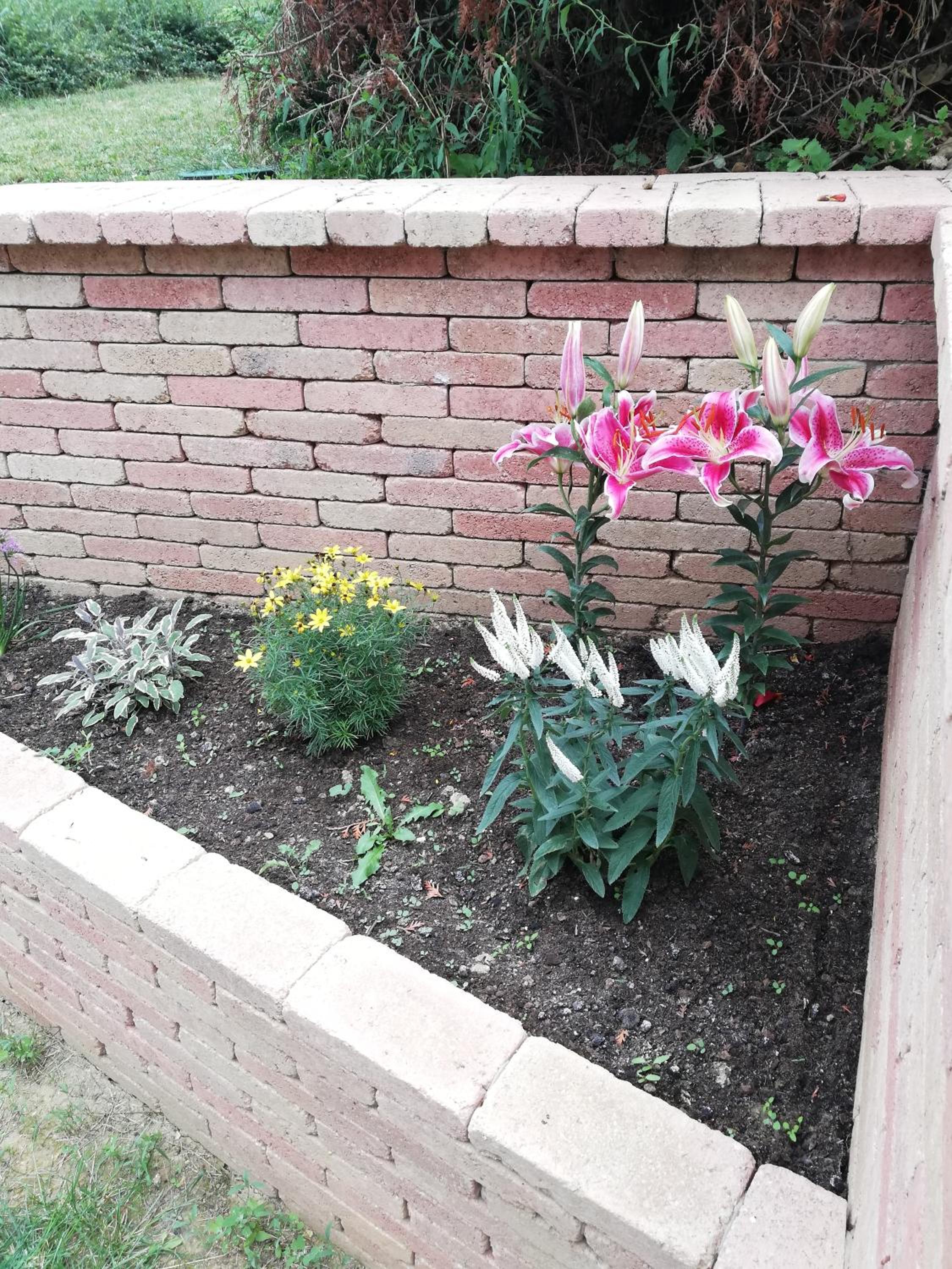 Photo 48