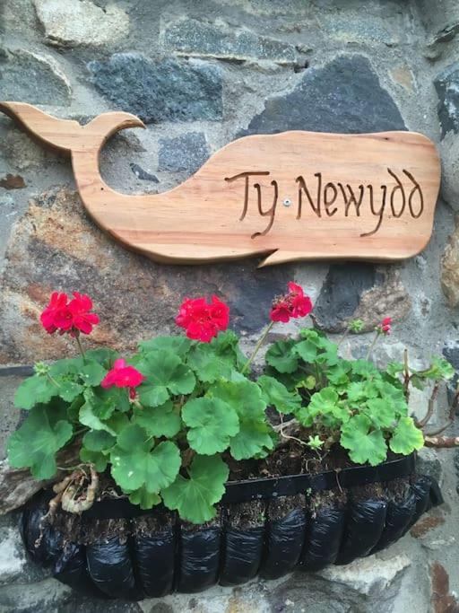 Ty Newydd North Wales Escape