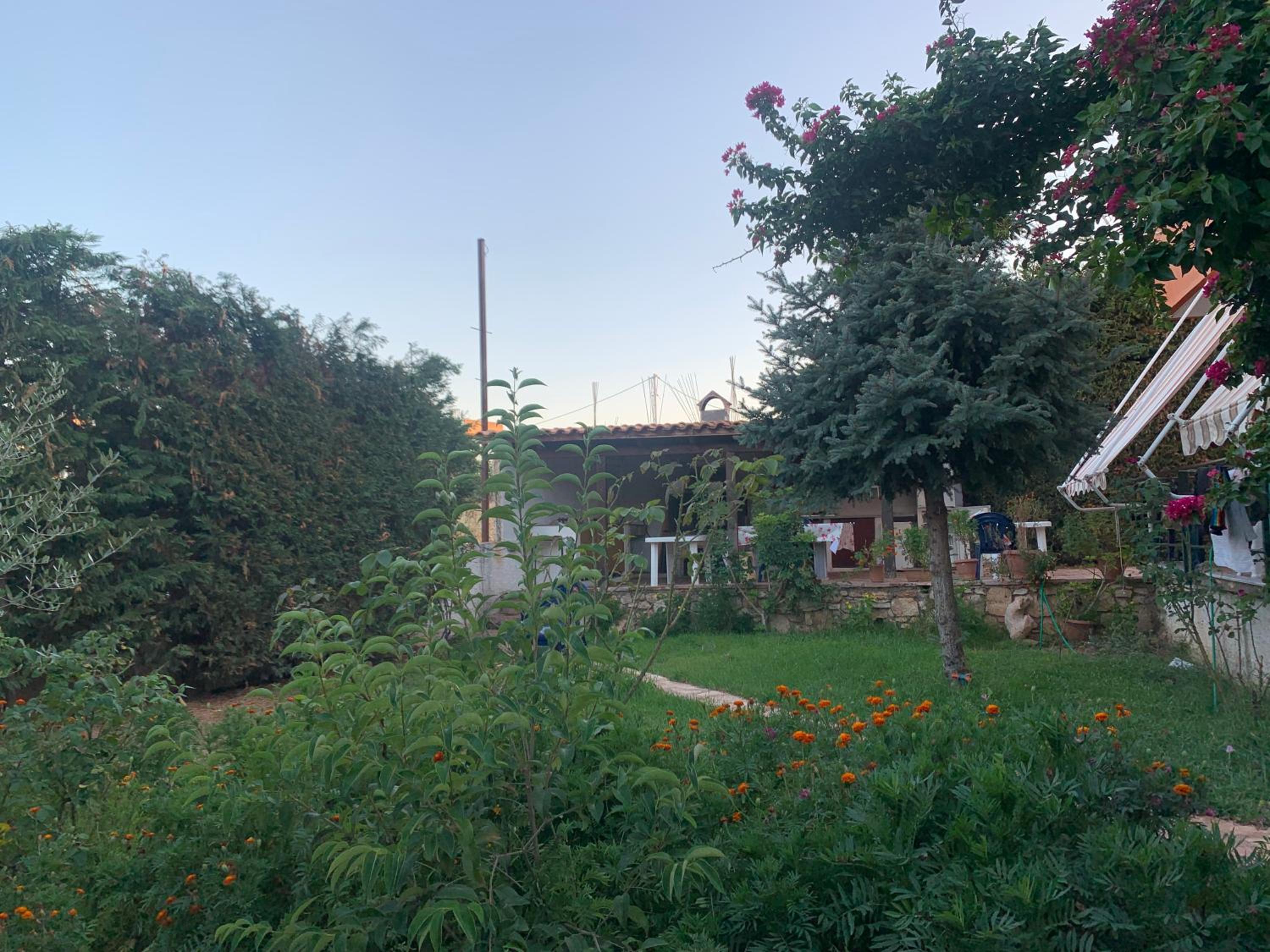 garden