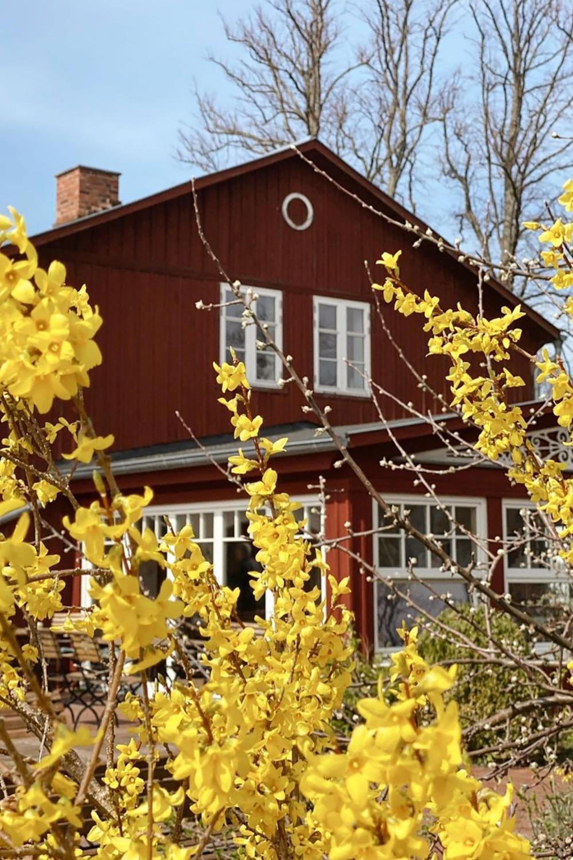 Pension Walfischhaus