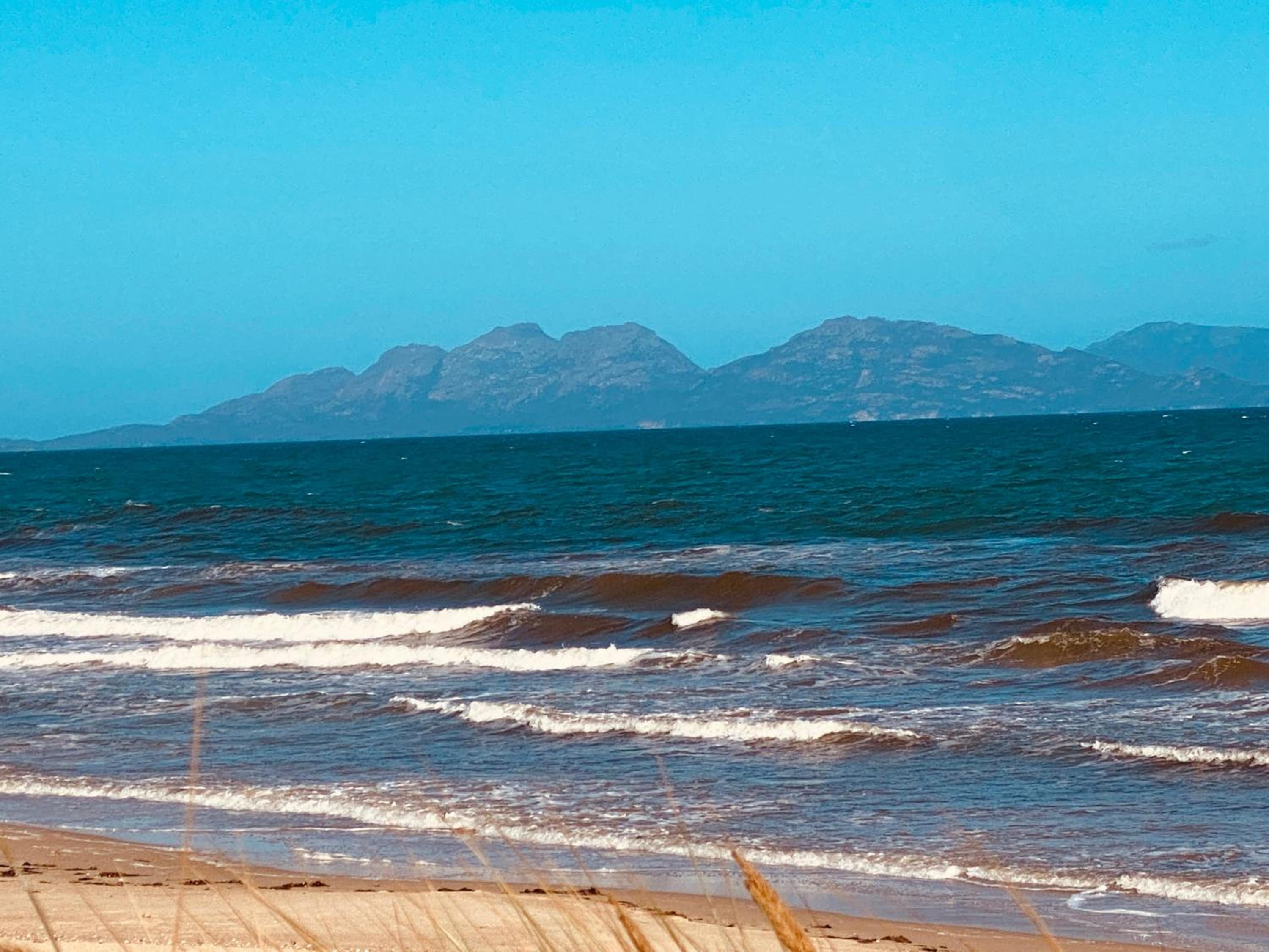 IdleWild - Secluded Absolute Beachfront Escape