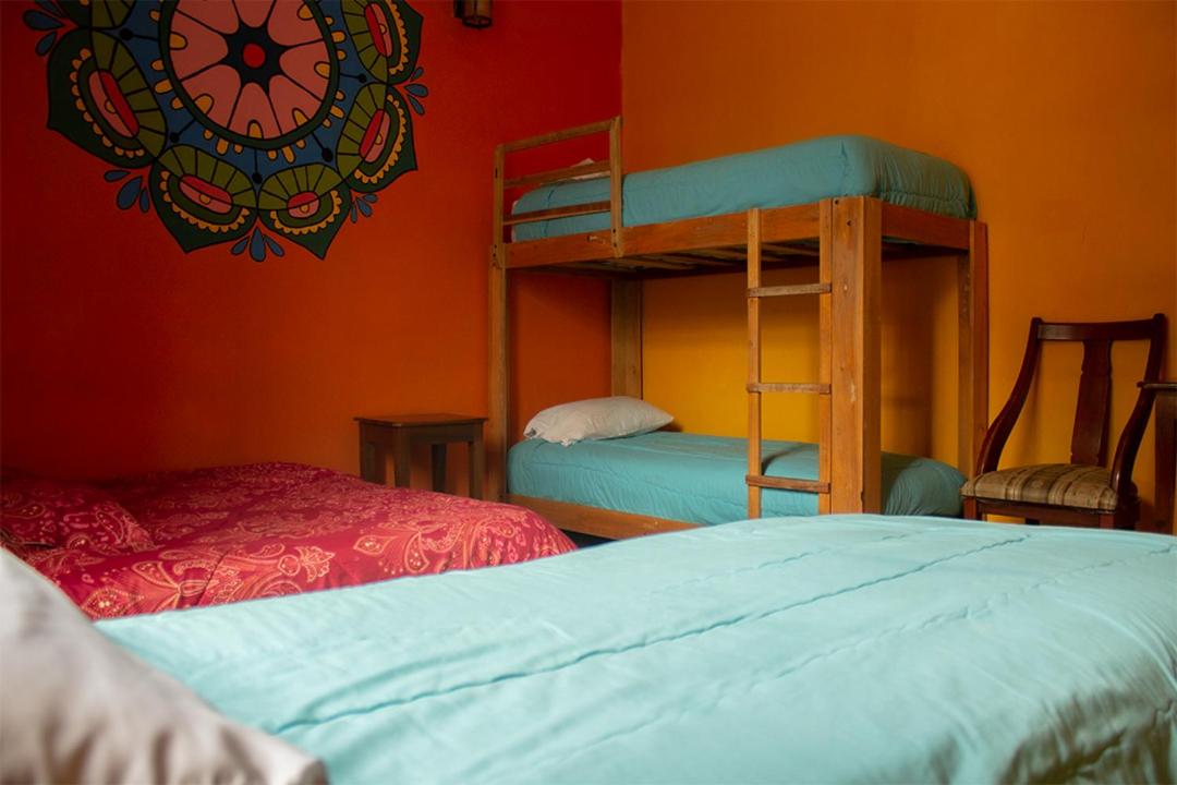 Hostal Café Tiana