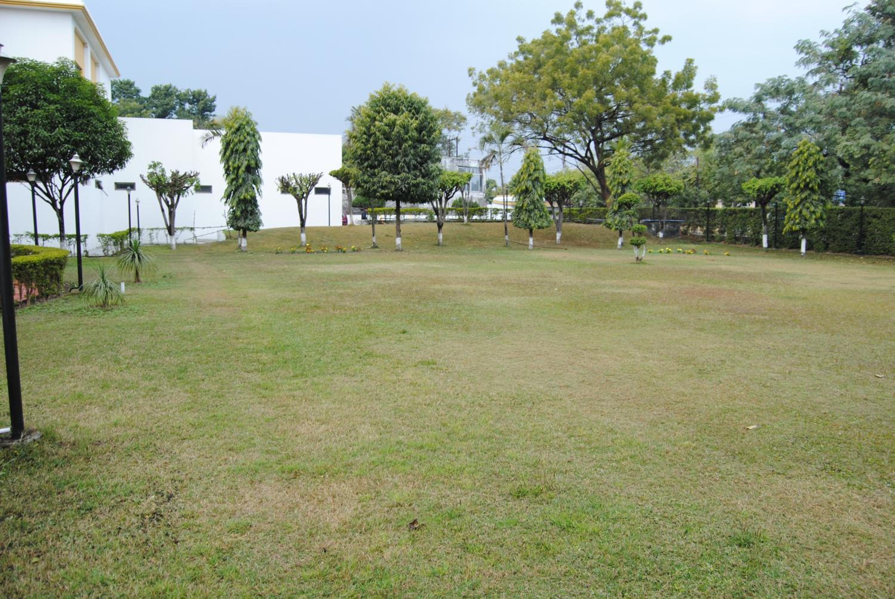 Photo 19