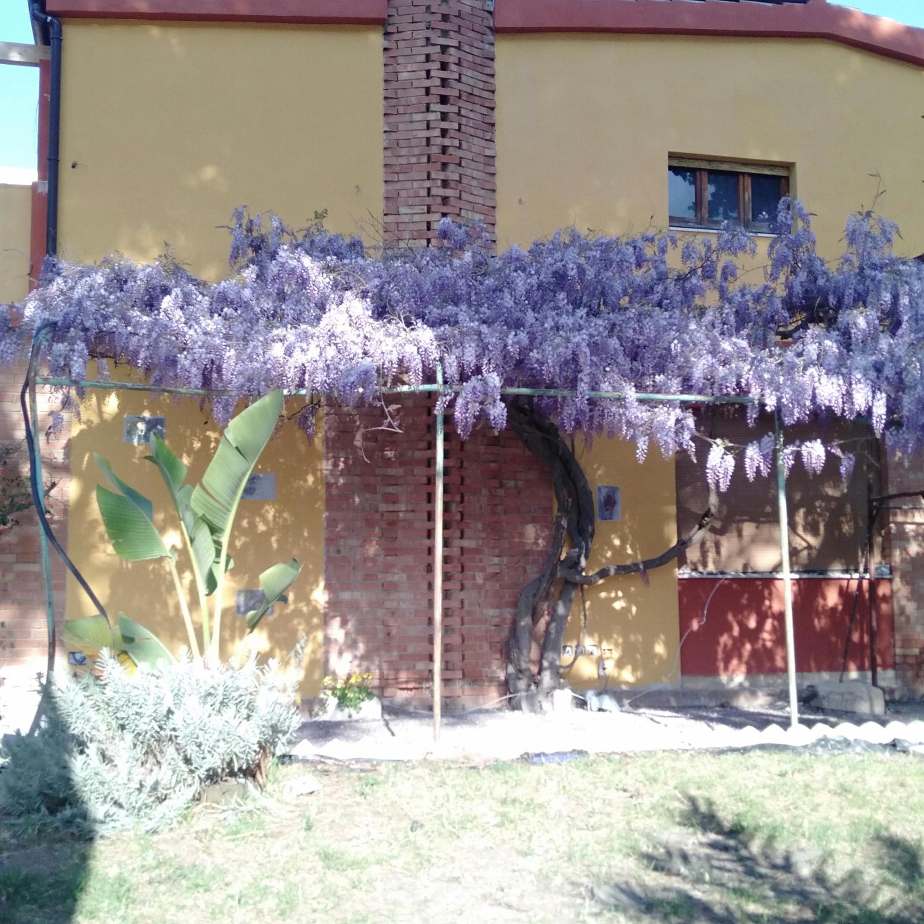Villa Serra view 3