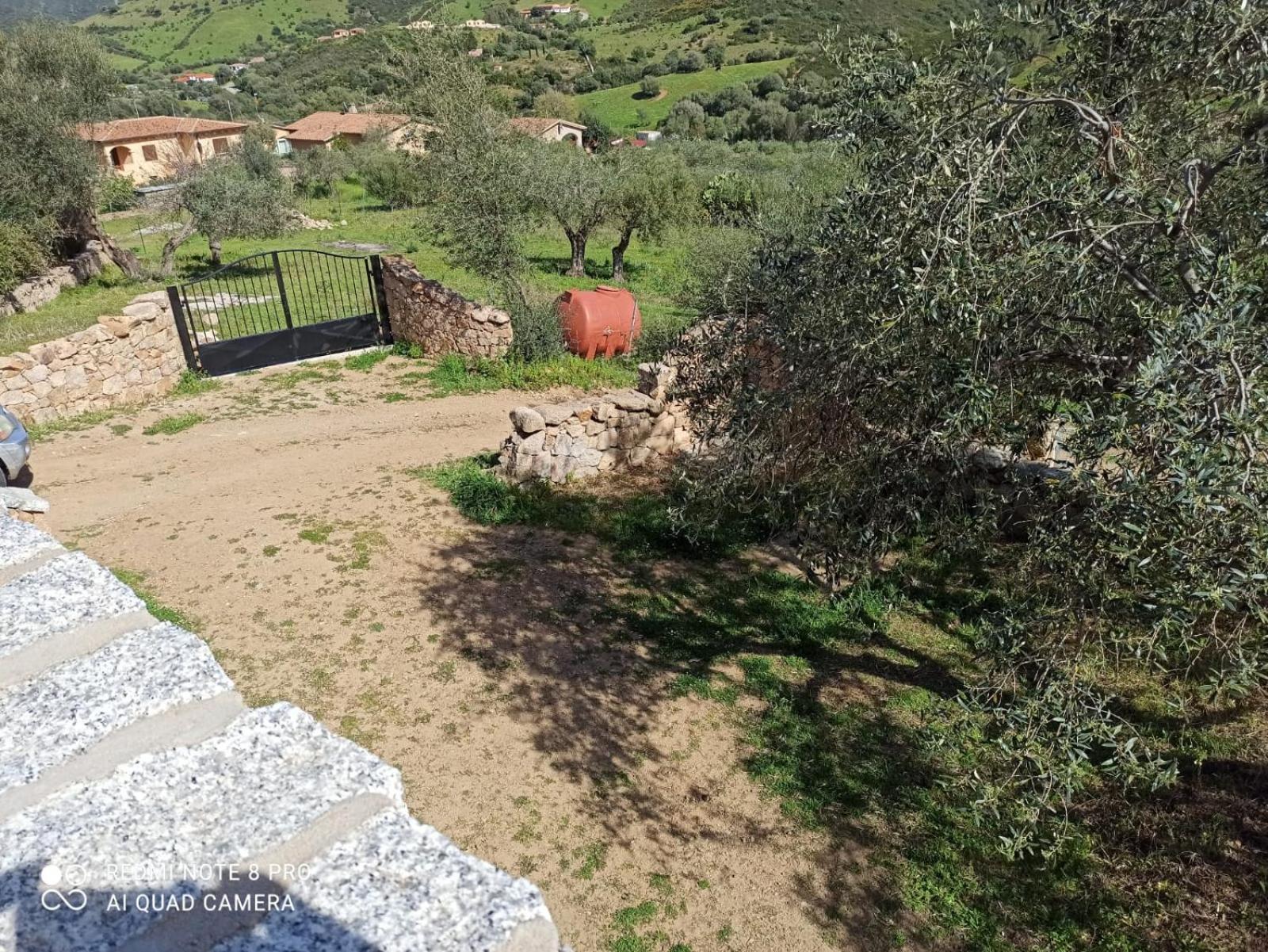 Appartamento immerso nel verde view 3