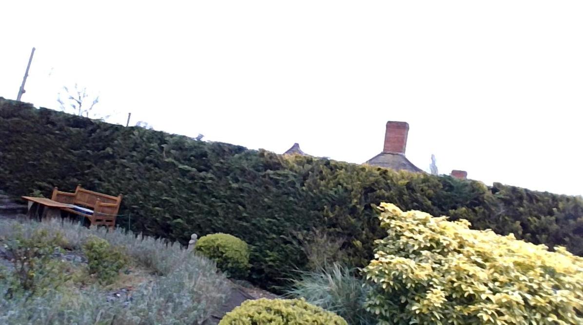 Madresfield view 4