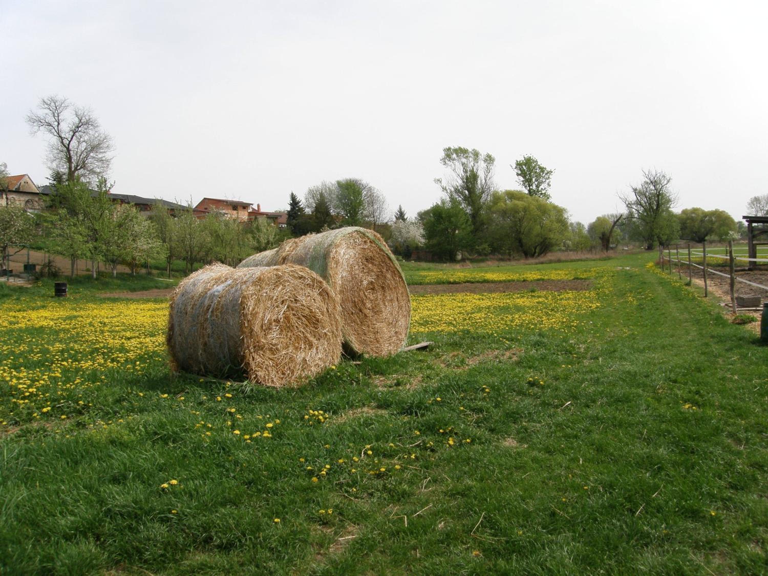 Vinný sklep Kovárna