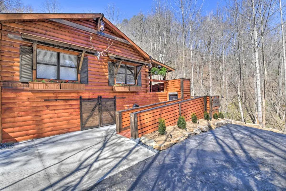 The Lodge Nantahala River view 4