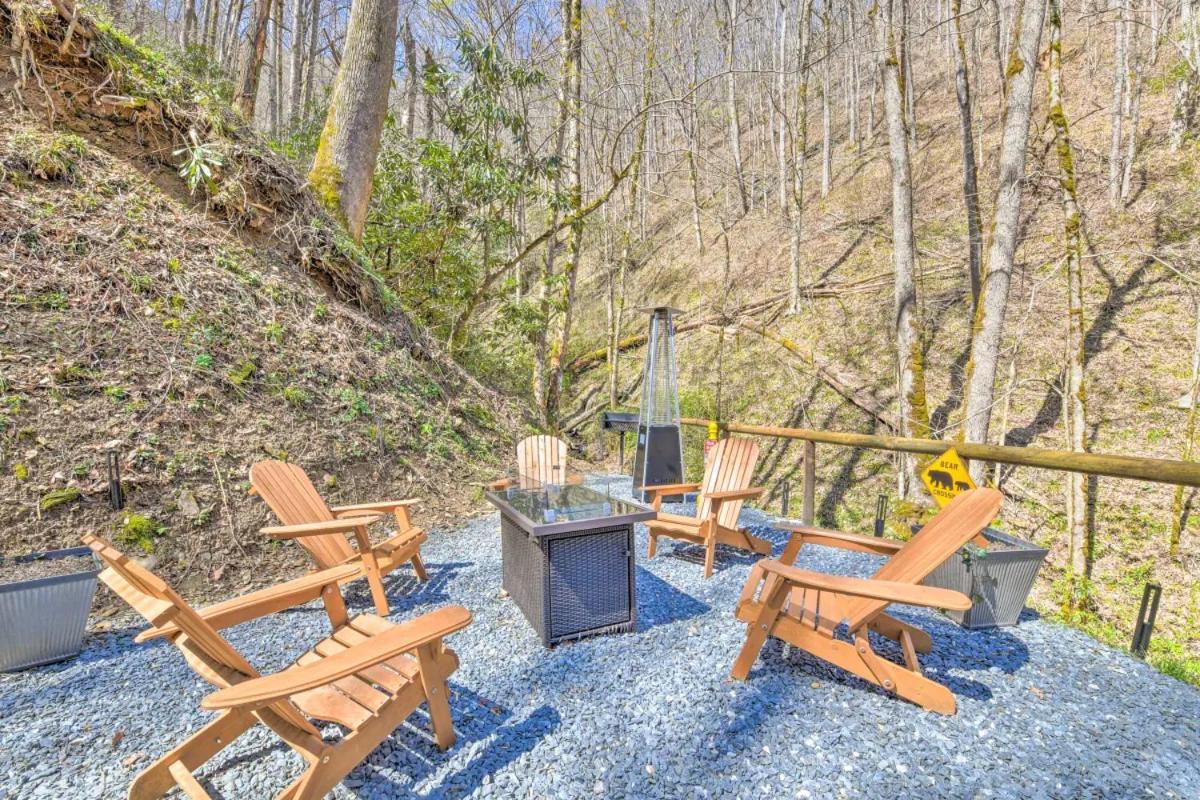 The Lodge Nantahala River view 5