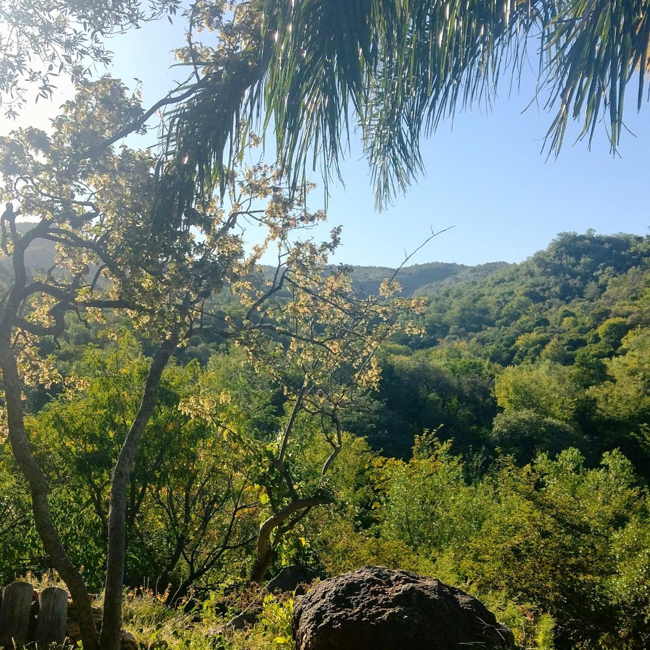 Cabañas de montaña 
