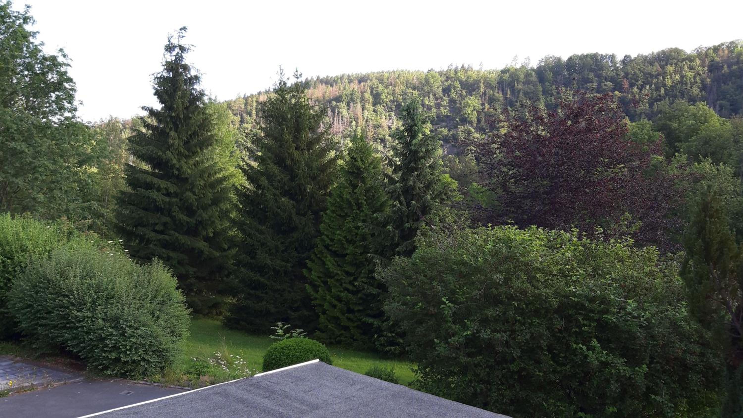 Ferienwohnung Sylvia-Marie view 5