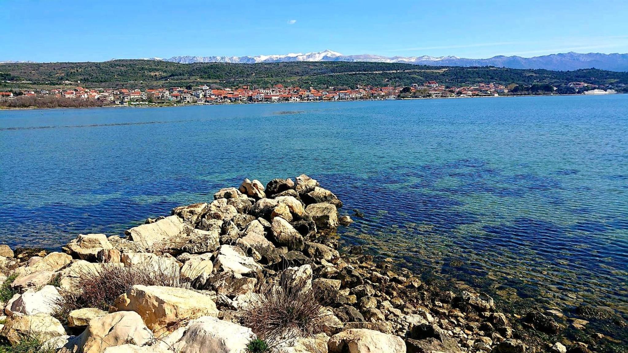Photo 41