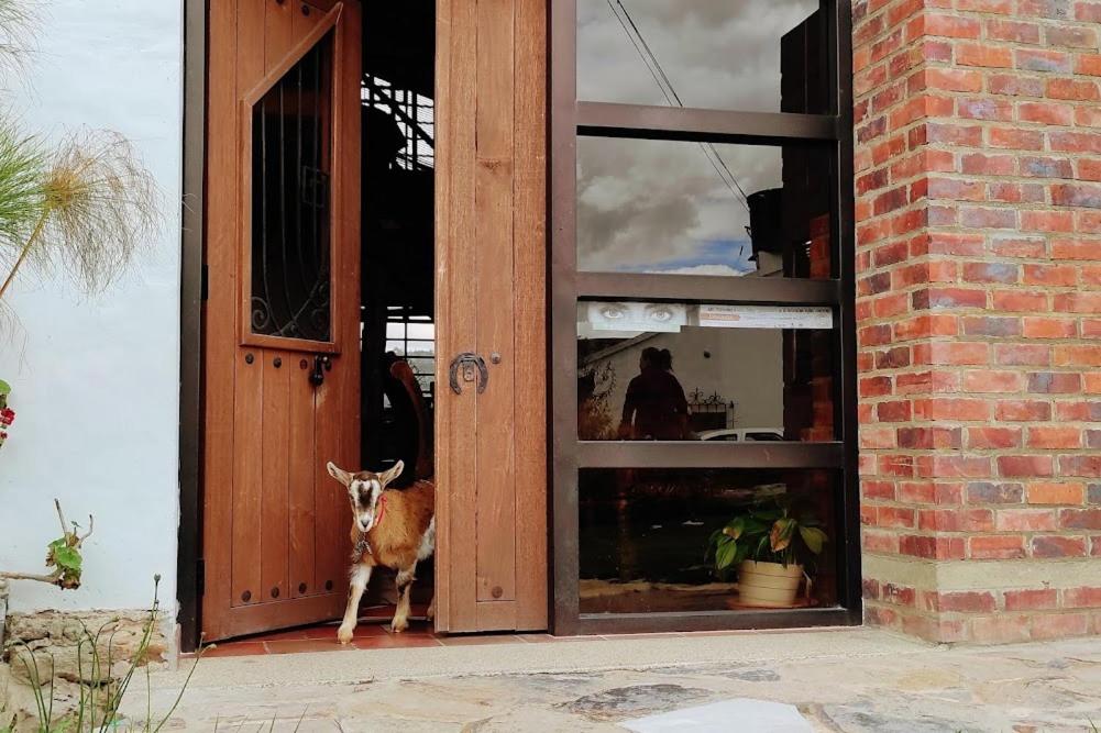 Cabañas & Glamping De Ruana Por Boyacá