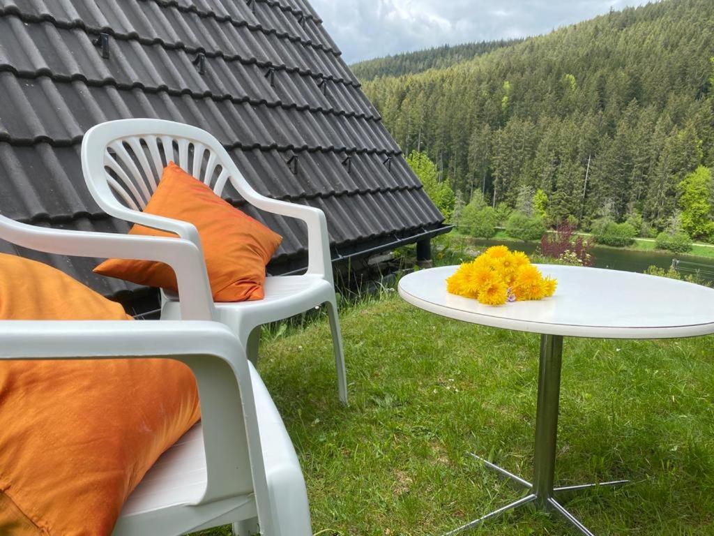 Haus Adler - Komplettes Ferienhaus am Badesee