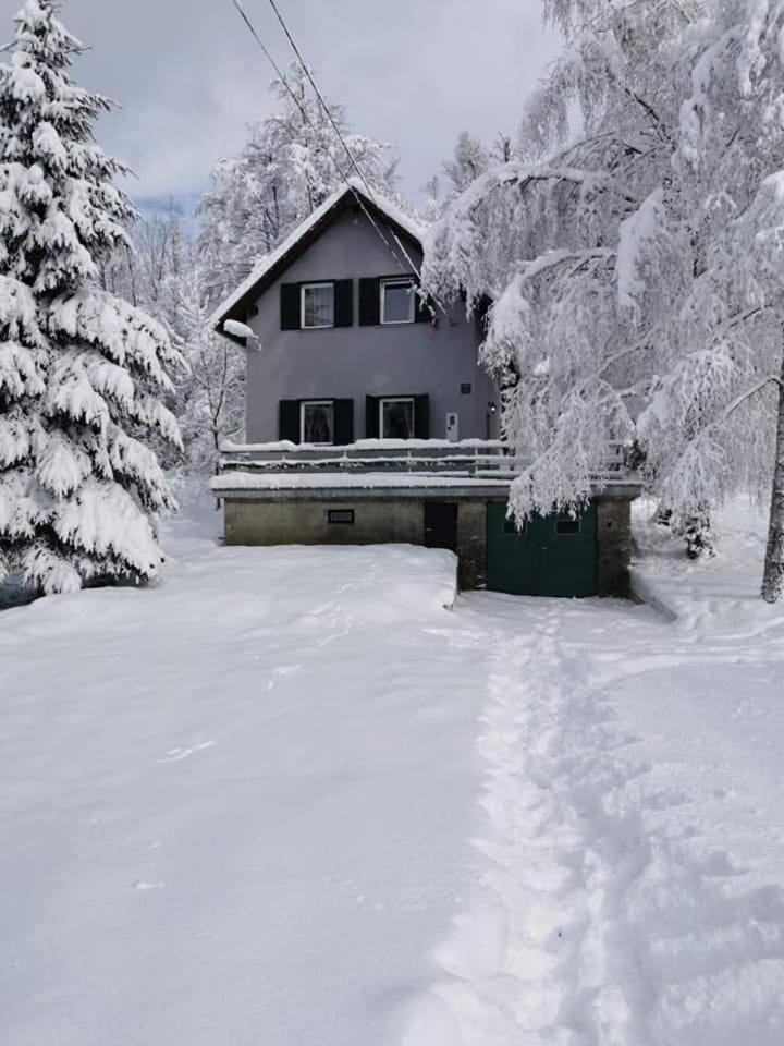 Photo 29