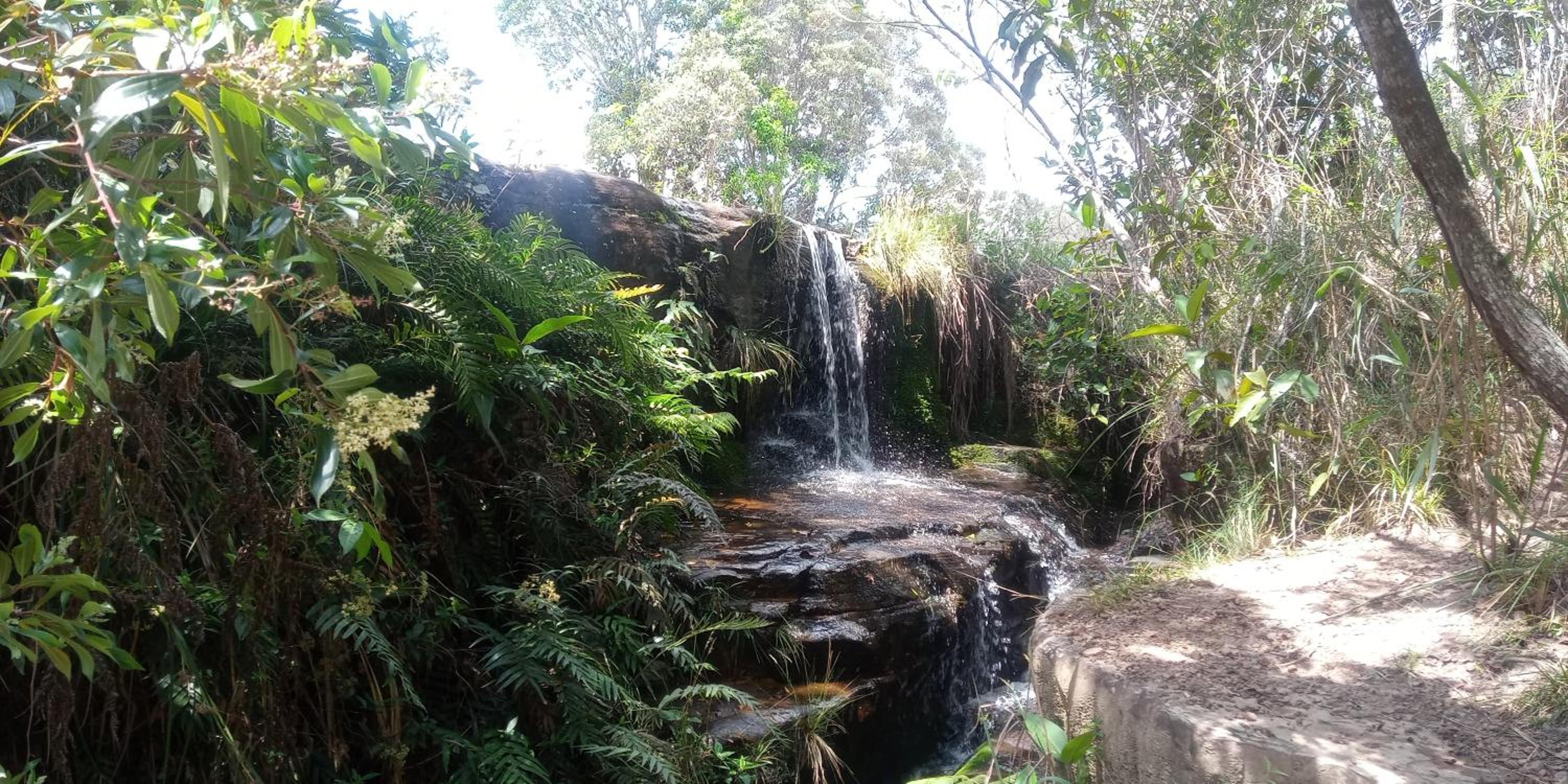 Chalés Portal Verde - Seja bem vindo