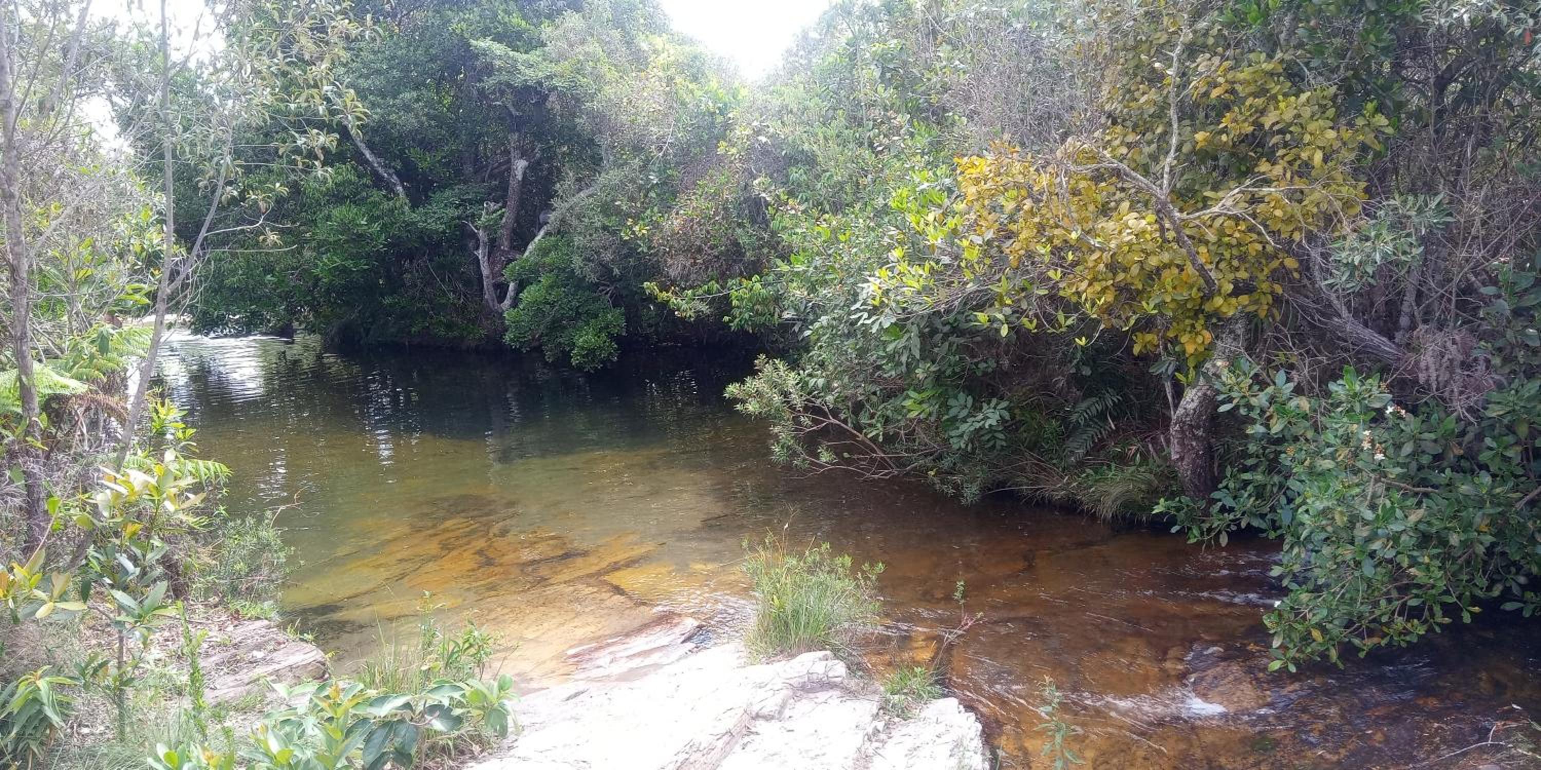 Chalés Portal Verde - Seja bem vindo