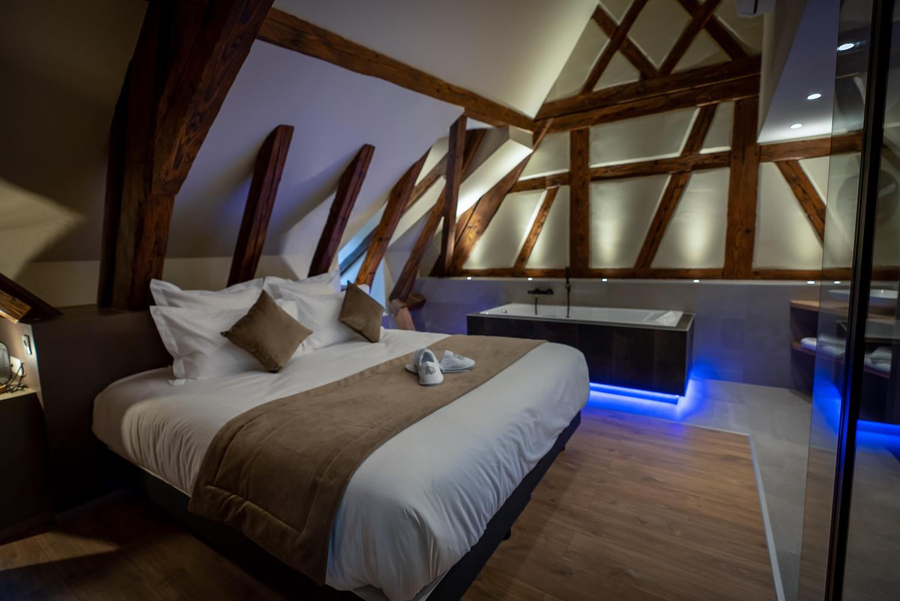 SERENITY Colmar - Gîtes de Prestige 4 et 5 étoiles - 2, 4 et 6 personnes- Centre Historique view 5