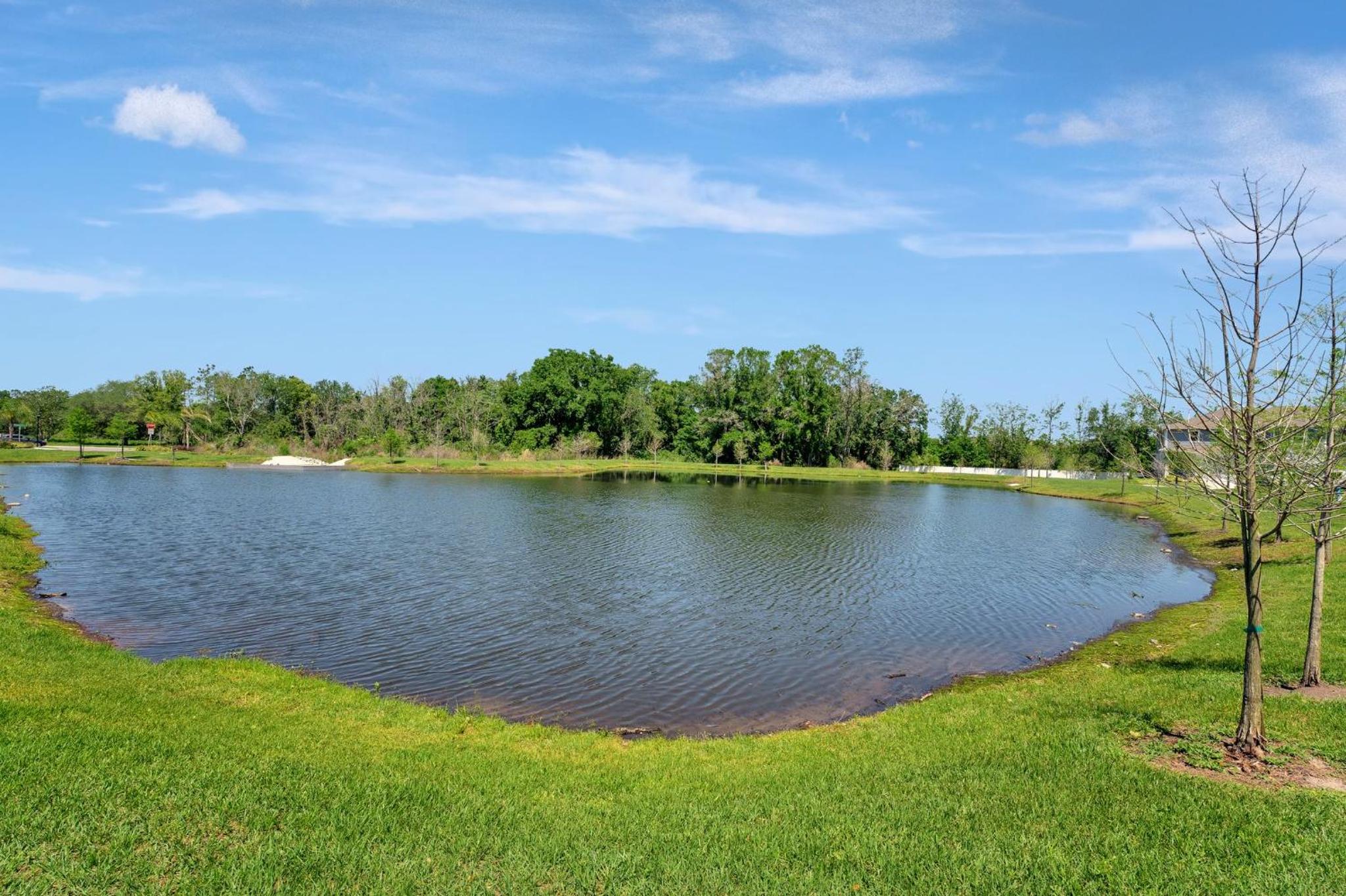 ZenHomes in heart of Brandon convenient location view 4