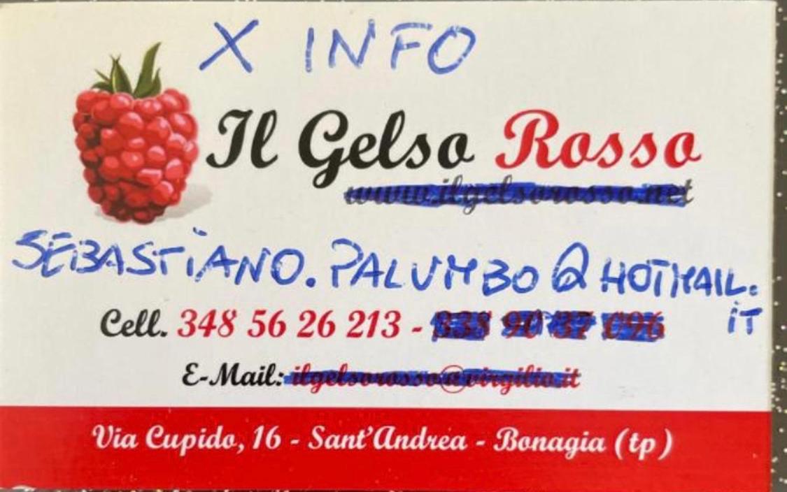 Casa Vacanze Il Gelso Rosso view 2