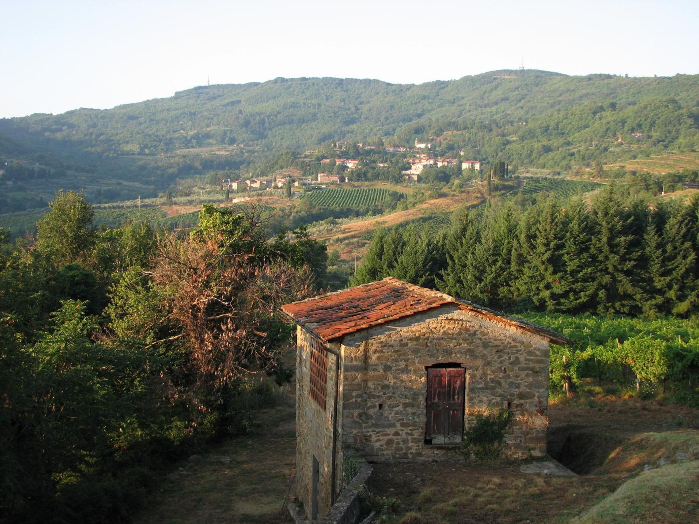 Casa Vacanze Villa il Castellaccio