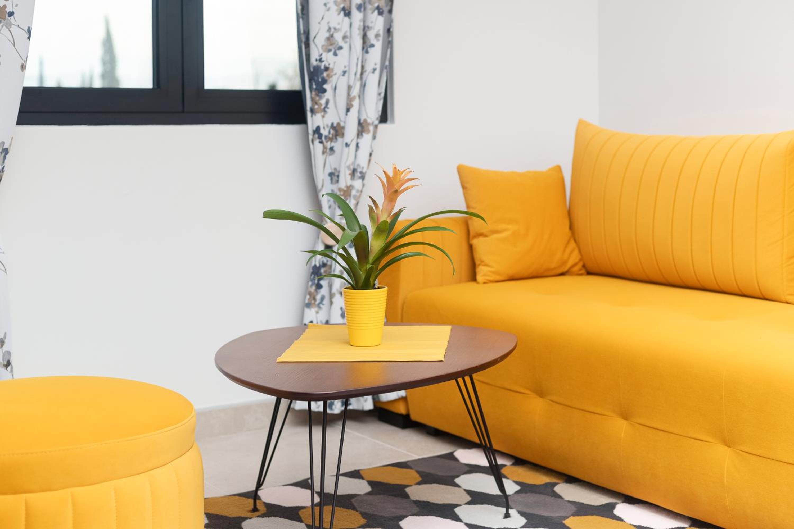 Ell Star Apartment view 5
