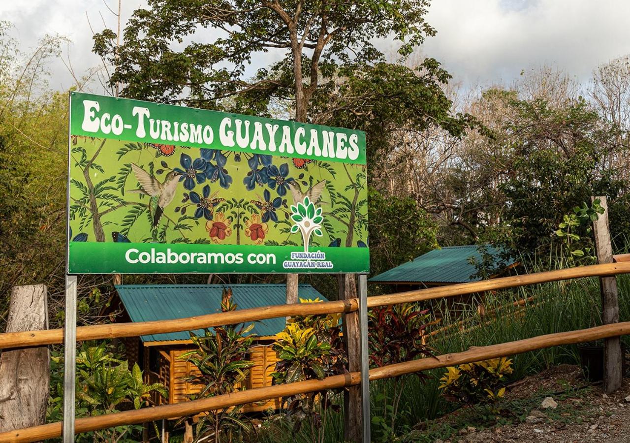 Eco-Turismo Guayacanes