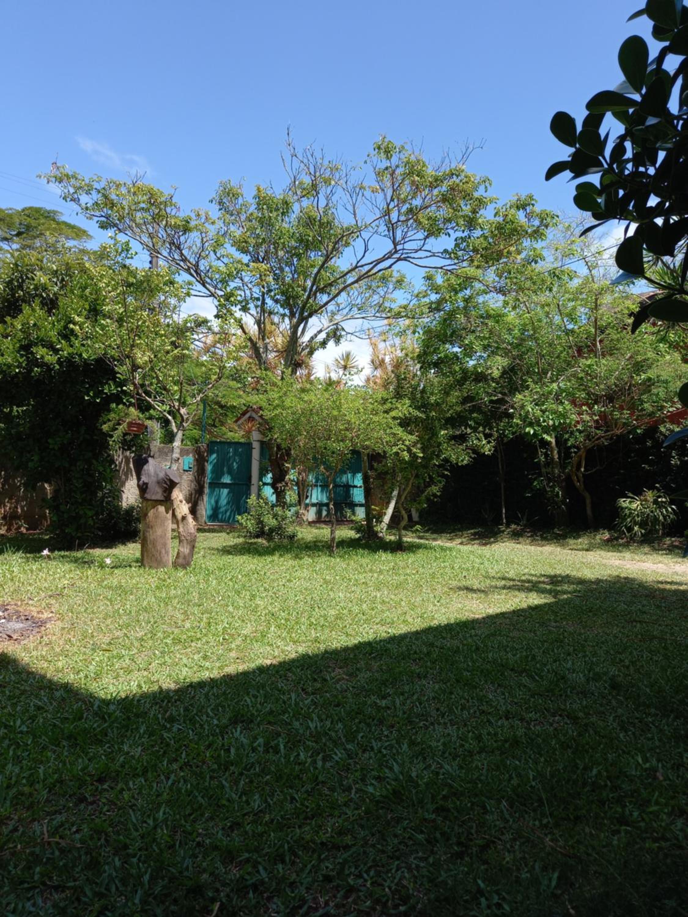 Photo 29
