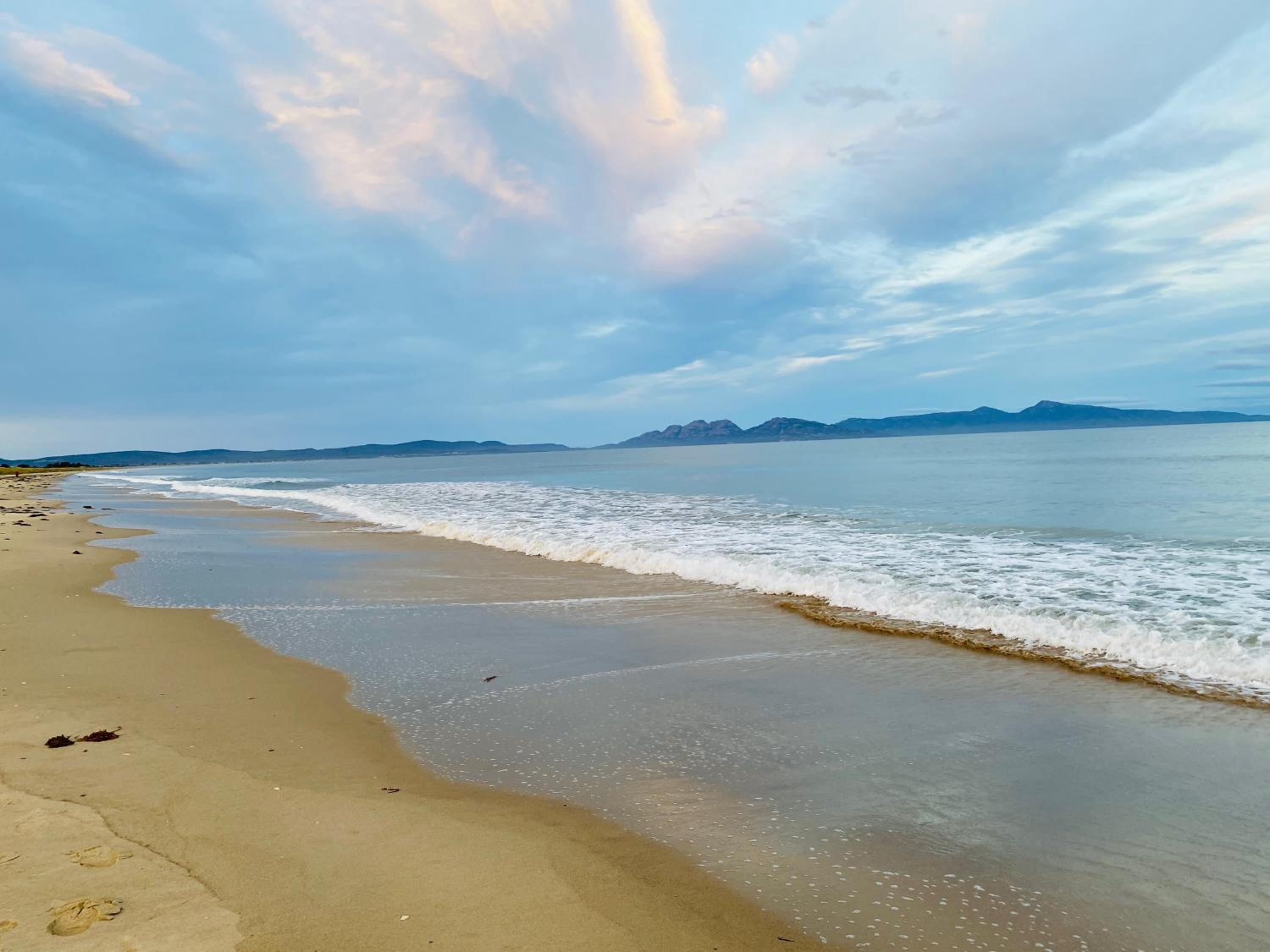 IdleWild - Secluded Absolute Beachfront Escape