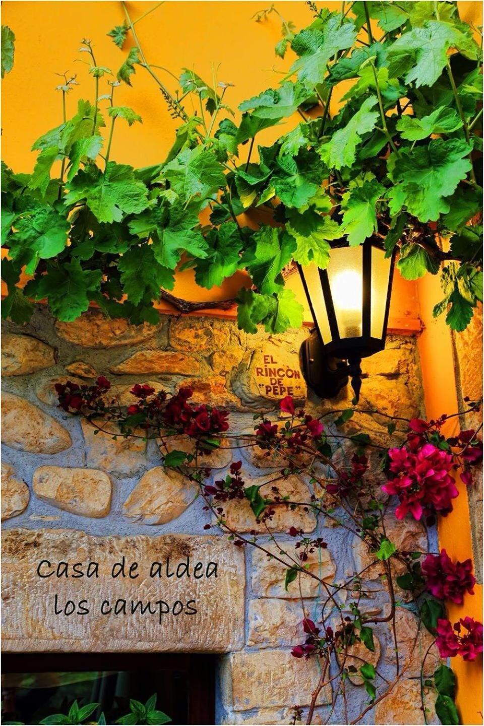 Casa Rural Los campos