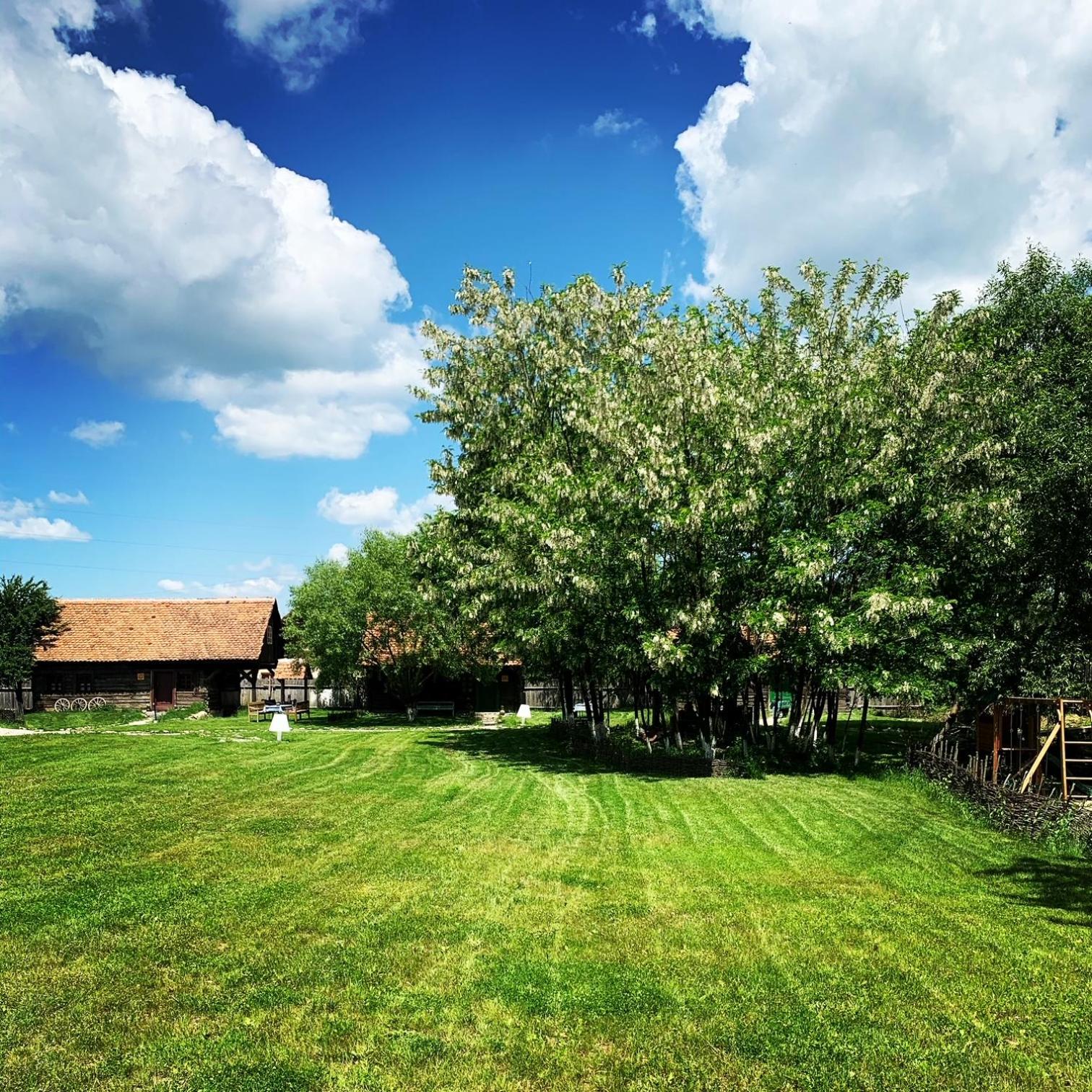 OberWood view 5