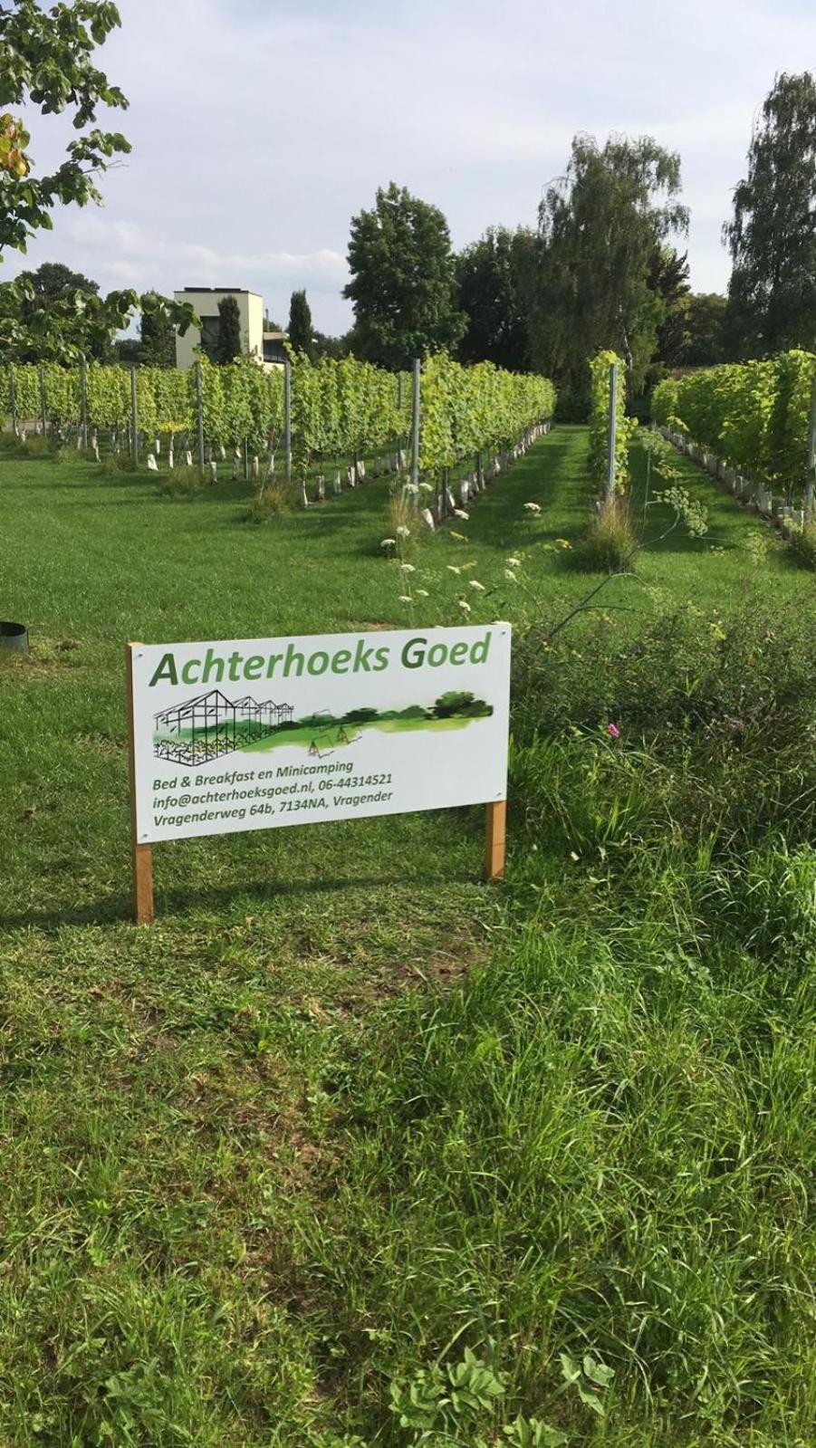 Achterhoeks Goed in Lichtenvoorde-Vragender view 4